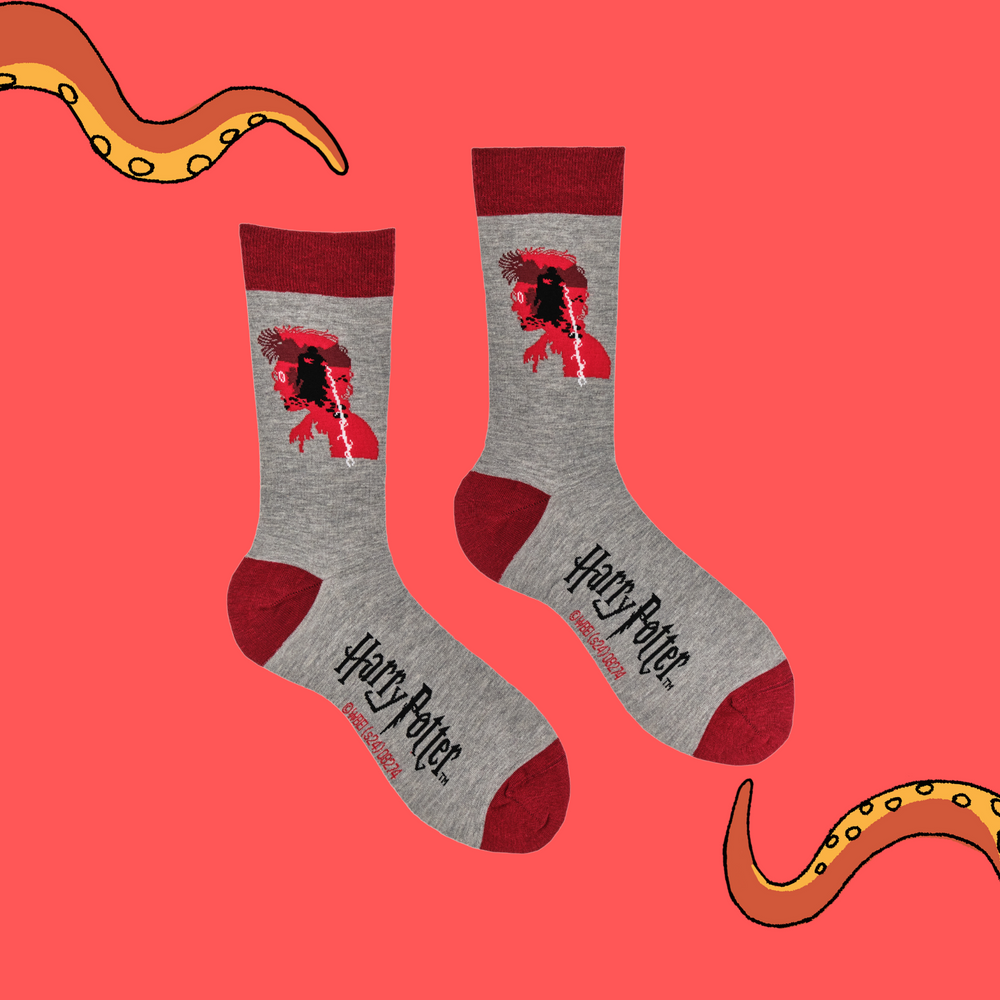 
                  
                    A pair of socks depicting Lord Voldemort. Grey legs, red cuff, heel and toe.
                  
                