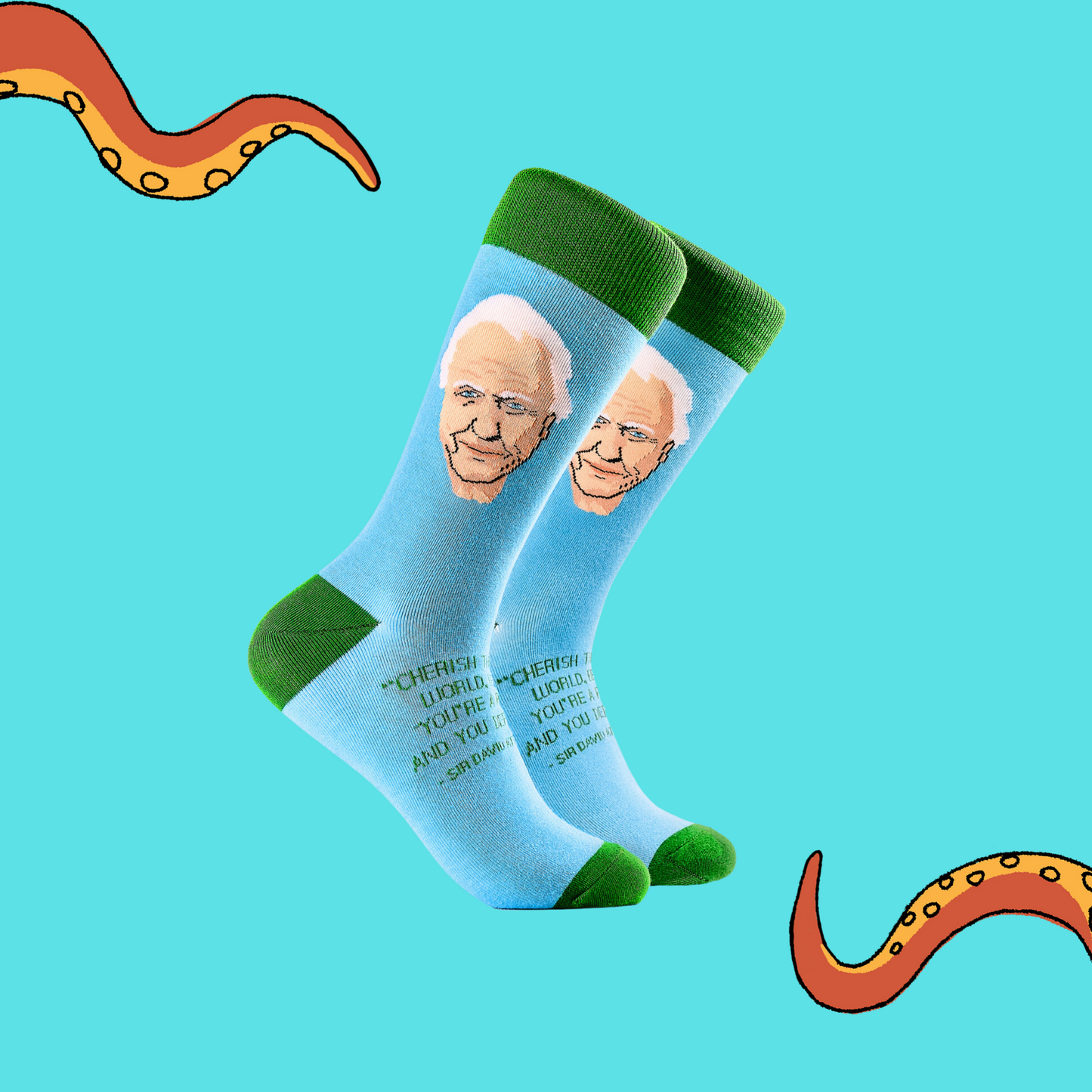 A pair of socks depicting tSir David Attenborough Socks. Blue legs, green cuff, heel and toe.