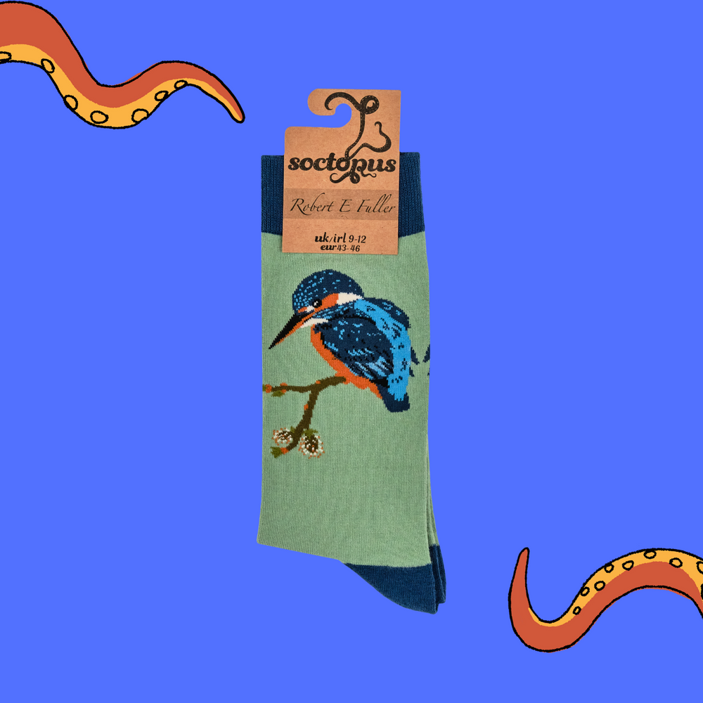 
                      
                        Bird Socks - Colourful Kingfisher
                      
                    