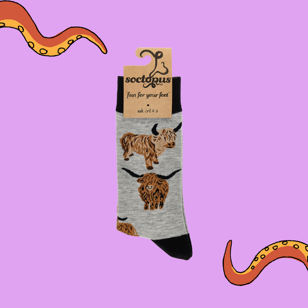 
                      
                        A pair of socks depicting highland cows. Grey legs, black cuff, heel and toe. In Soctopus Packaging.
                      
                    