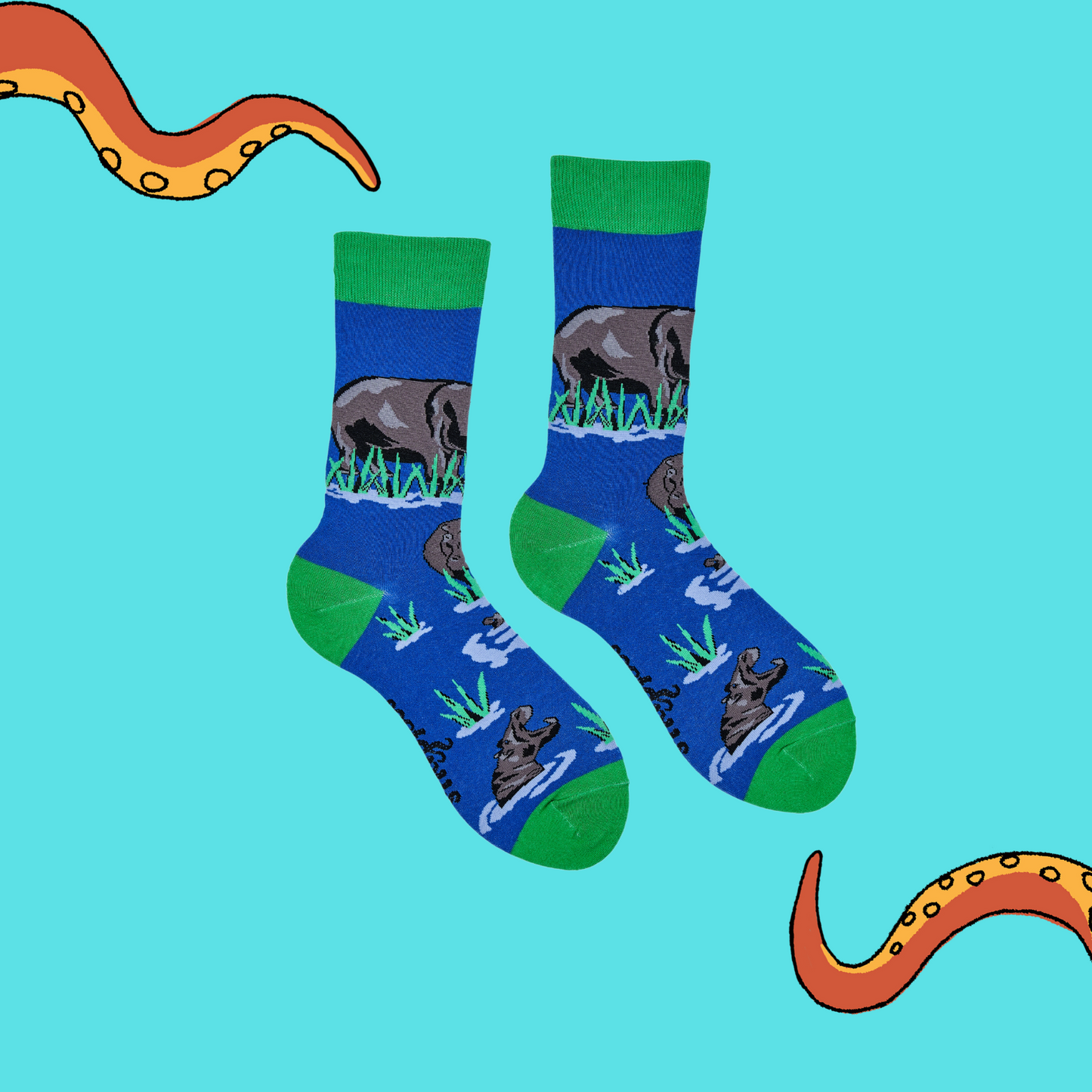 
                  
                    A pair of socks depicting hippos in water. Blue legs, green cuff, heel and toe.
                  
                