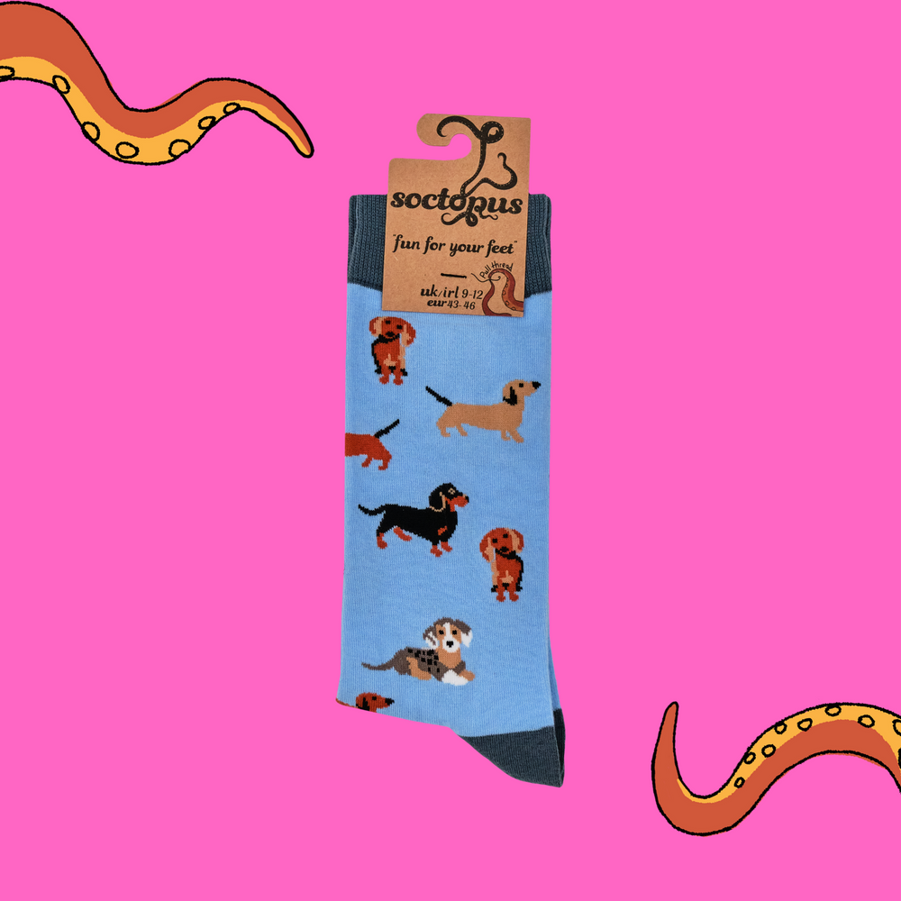 
                      
                        Sausage Dog Socks - Dasching Around 2
                      
                    