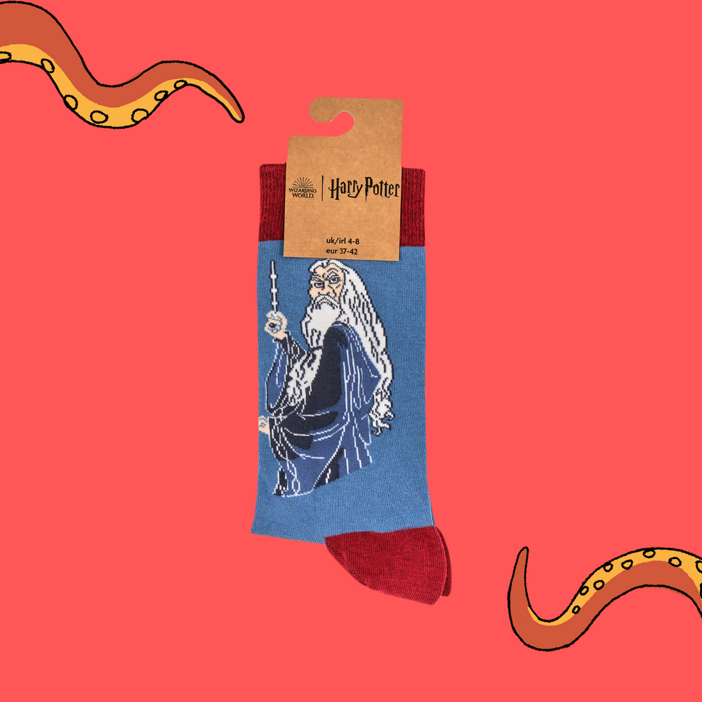 
                      
                        Harry Potter Socks - Dumbledore
                      
                    