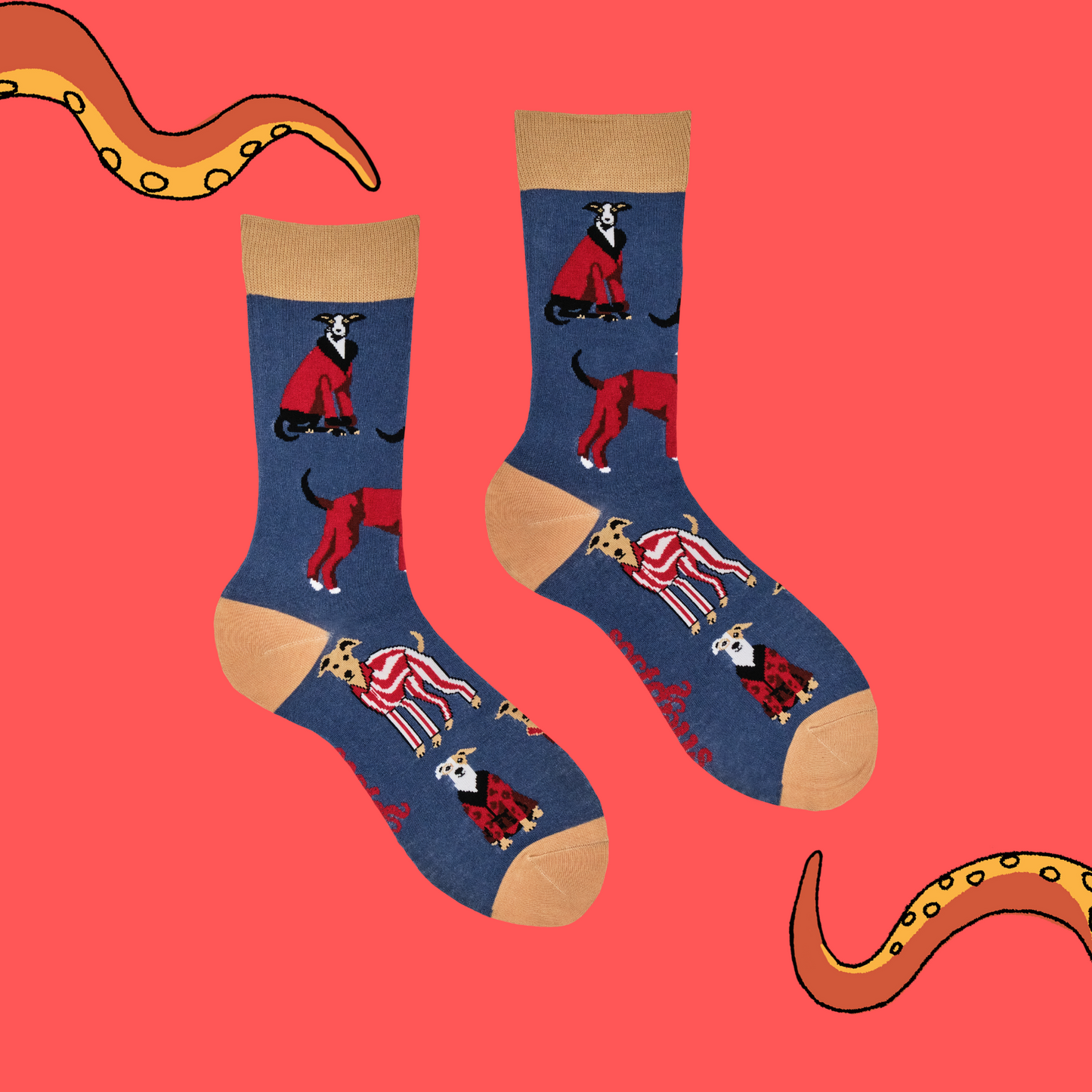 
                  
                    Socks depicting Italian Greyhound and Whippets wearing red patterned suits and formal gentlemen's attire. Blue legs and cream cuff, heel and toes.
                  
                