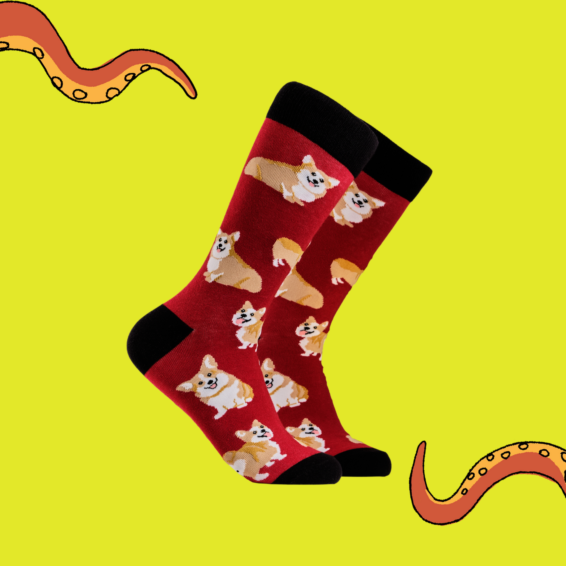 A pair of socks depicting corgis. Red legs, black cuff, heel and toe.