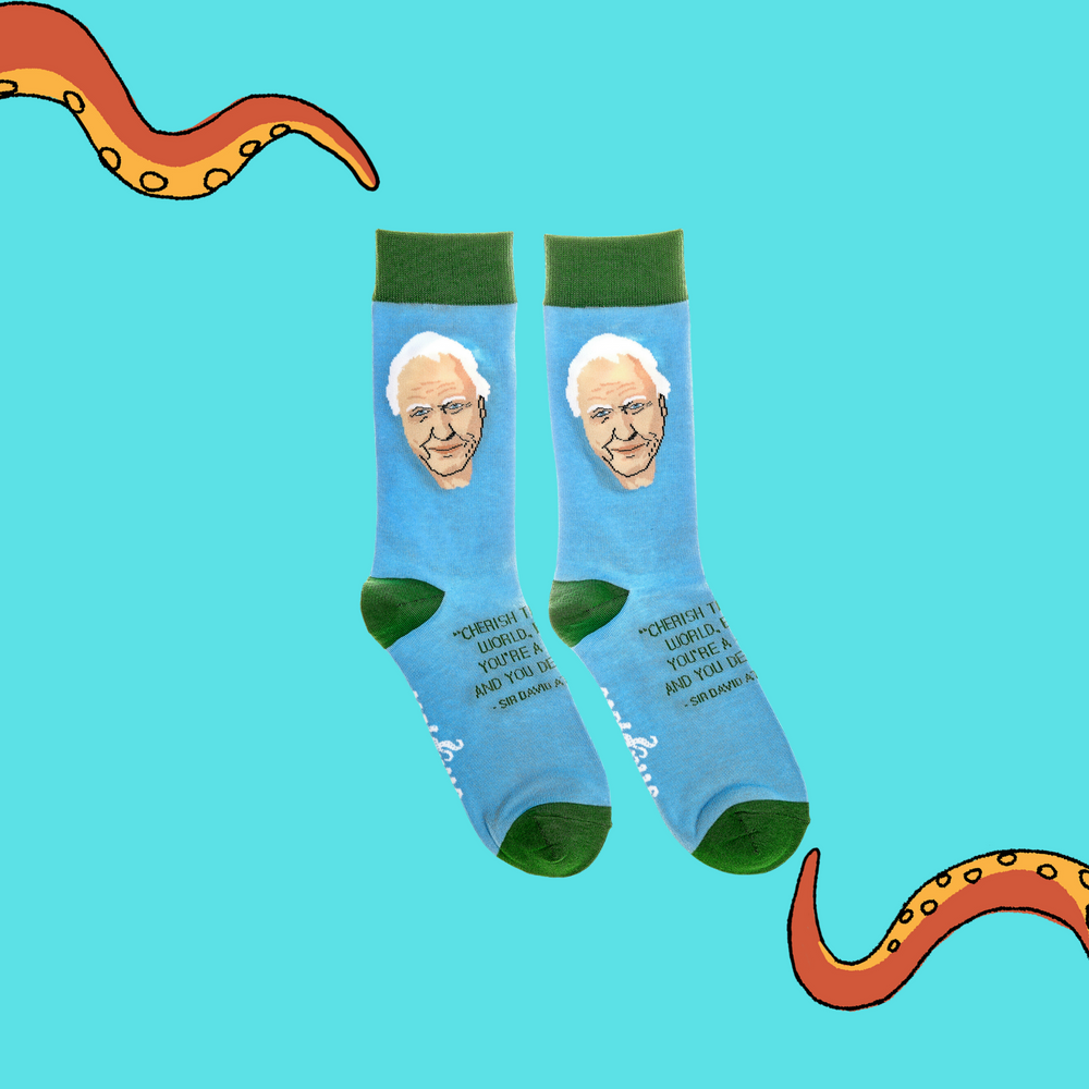 
                  
                    A pair of socks depicting tSir David Attenborough Socks. Blue legs, green cuff, heel and toe.
                  
                