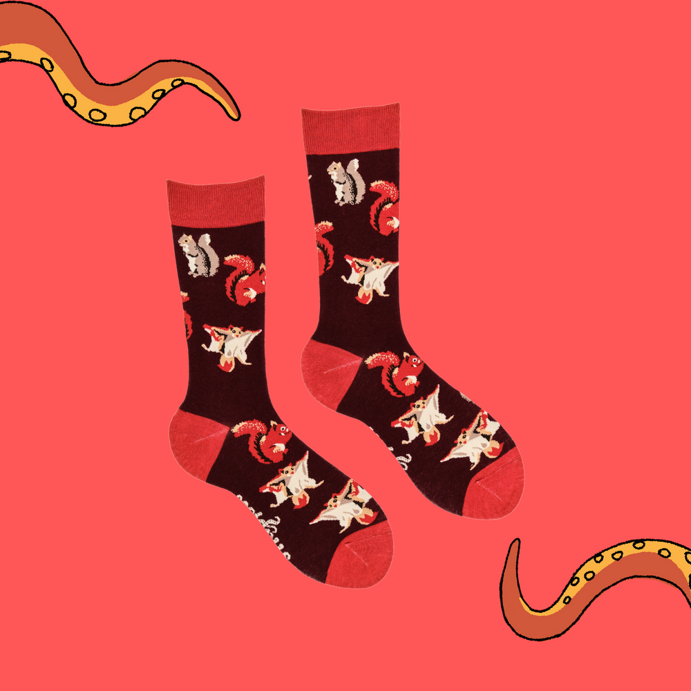 
                      
                        A pair of socks depicting different kinds of squirrel. Dark red legs, red cuff, heel and toe.
                      
                    