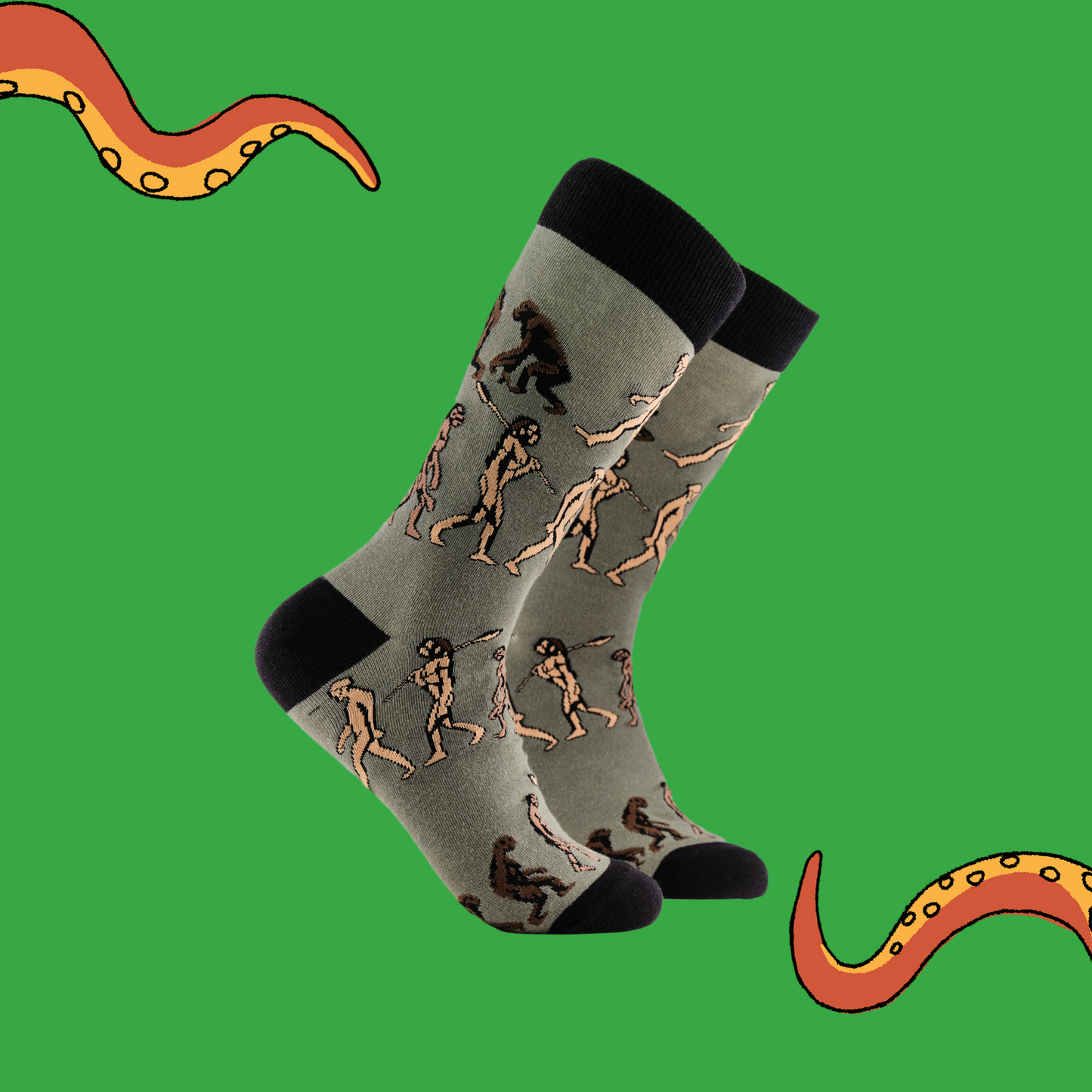 A pair of socks depicting Darwin's theory of evolution. Green legs, black cuff, heel and toe.