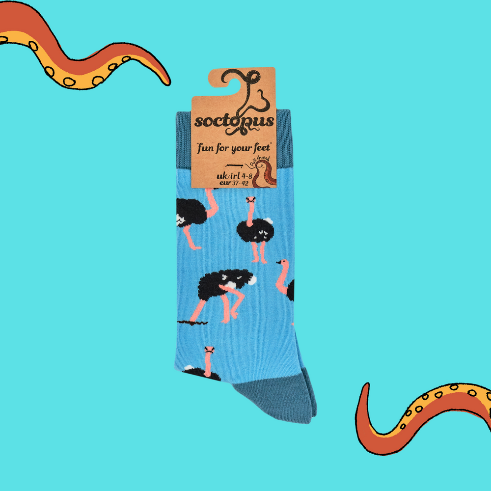 
                      
                        A pair of socks depicting Ostriches. Bright blue legs, teal heel, toe and cuff.  
                      
                    