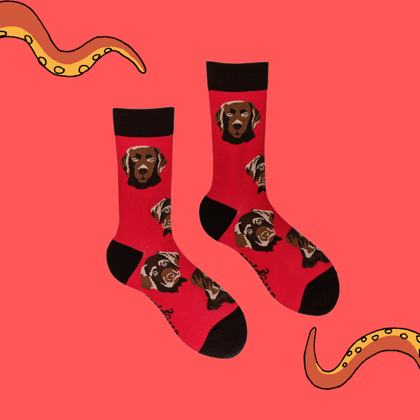 
                  
                    A pair of socks depicting chocolate Labradors. Red legs, brown cuff, heel and toe.
                  
                