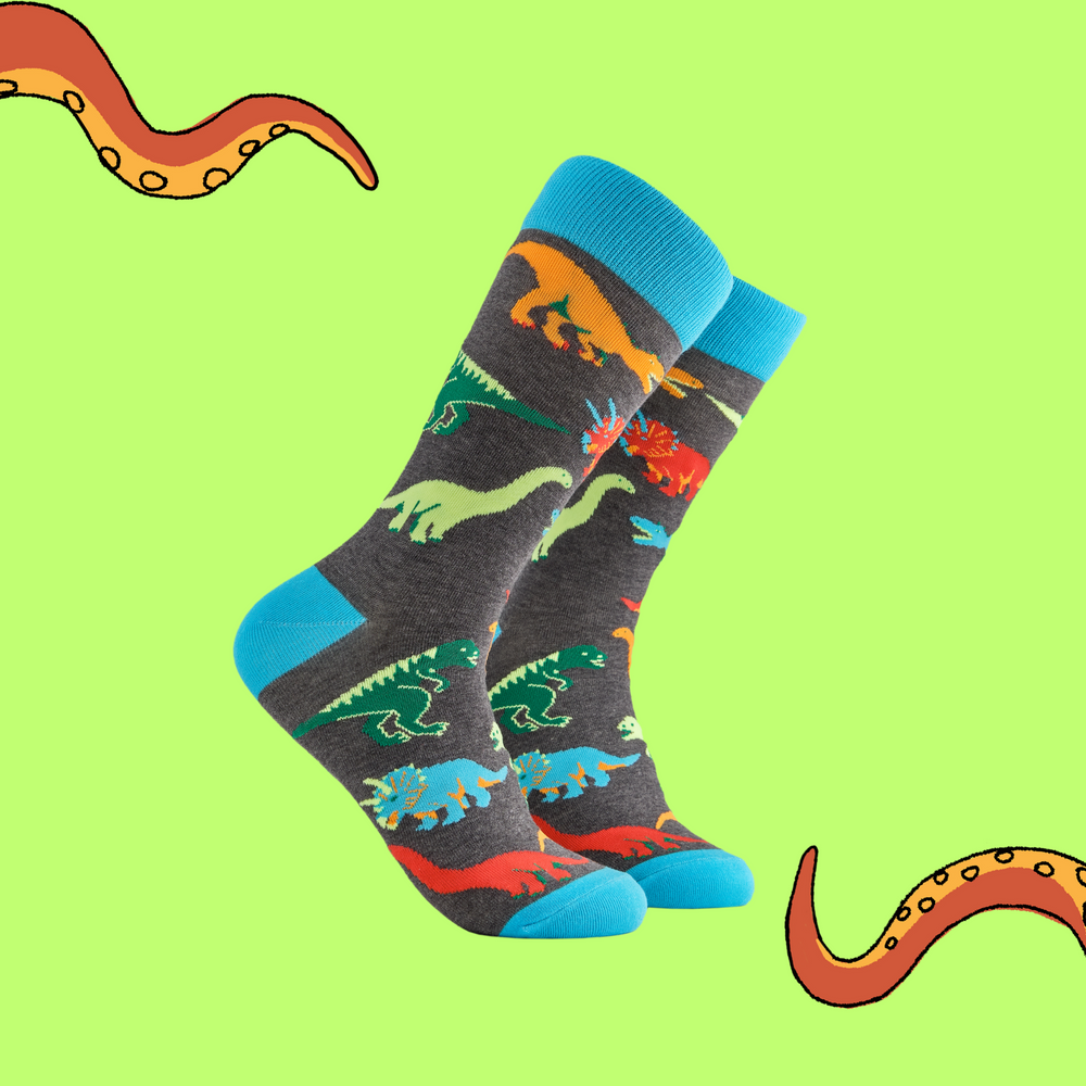 
                      
                        A pair of socks depicting dinosaurs. Grey legs, light blue cuff, heel and toe.
                      
                    