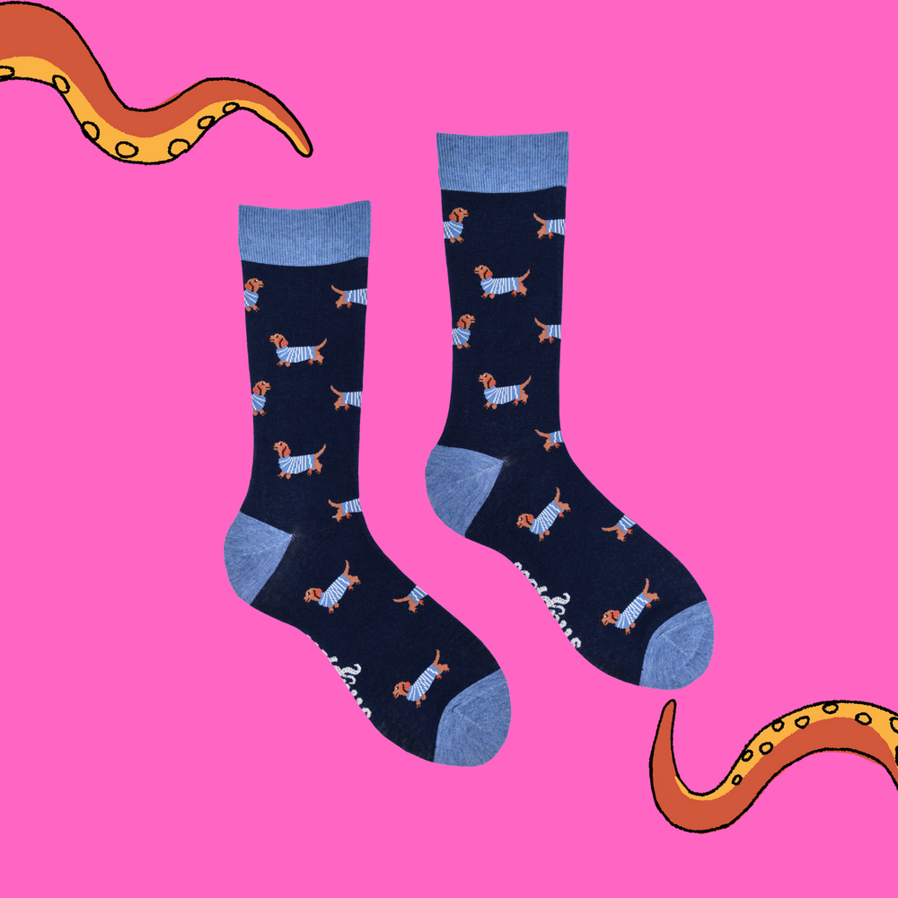 
                      
                        A pair of socks depicting sausage dogs wearing jumpers. Dark legs, light blue cuff, heel and toe
                      
                    