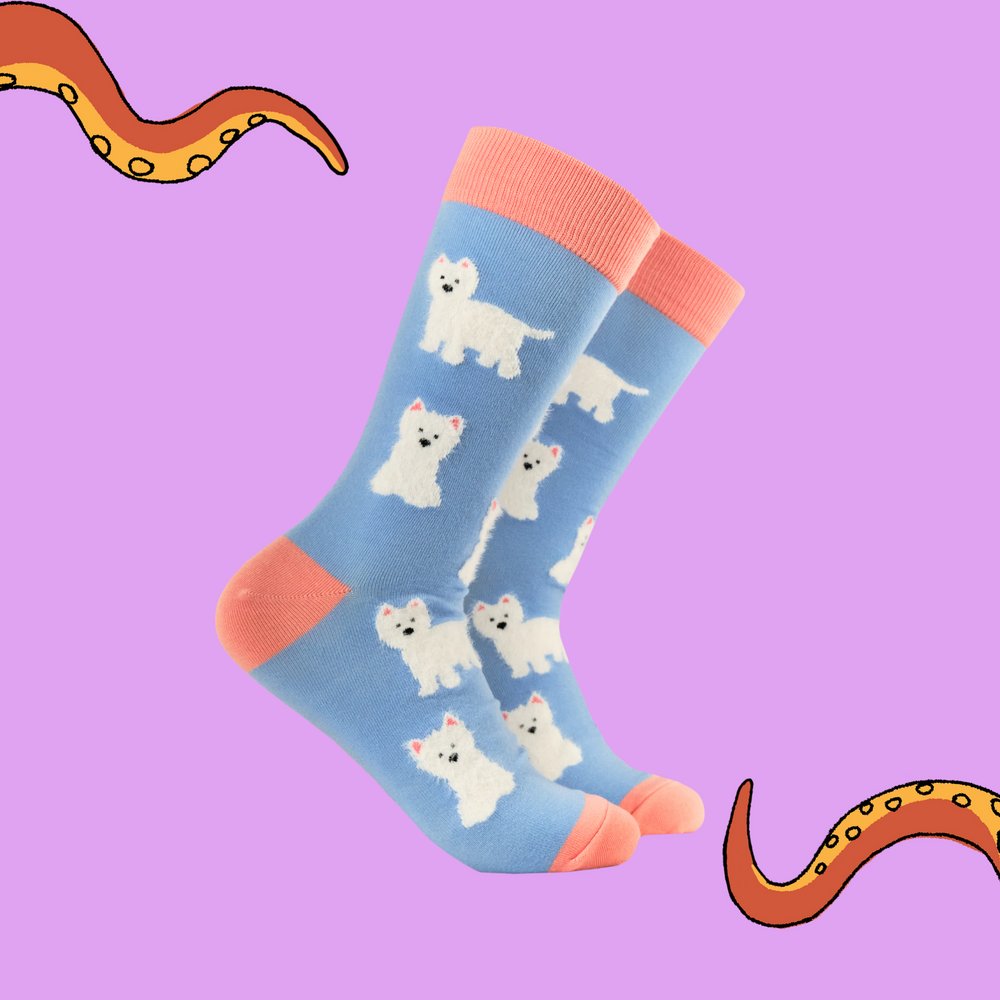 
                      
                        A pair of socks featuring fluffy westie dogs. Light blue legs, peach heel toe and cuff. 
                      
                    