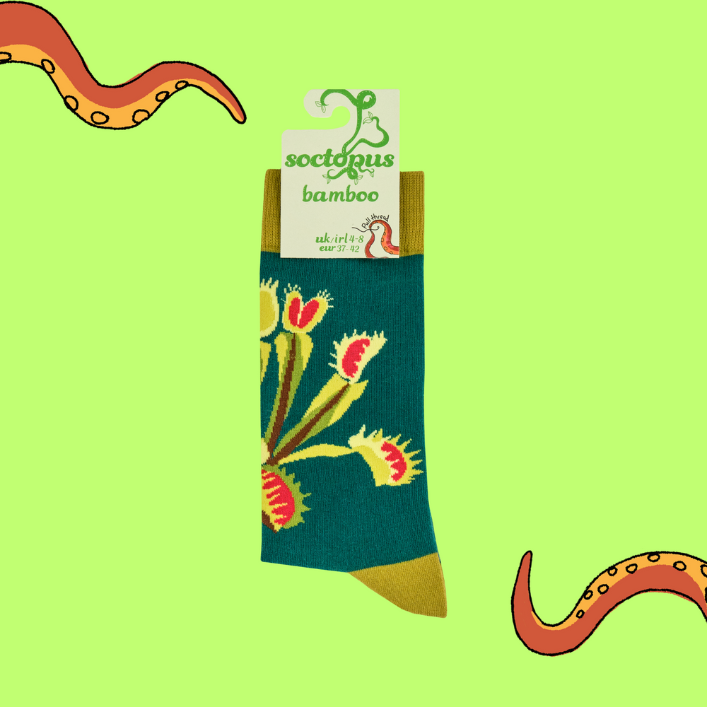 
                      
                        Venus Fly Trap Bamboo Socks
                      
                    