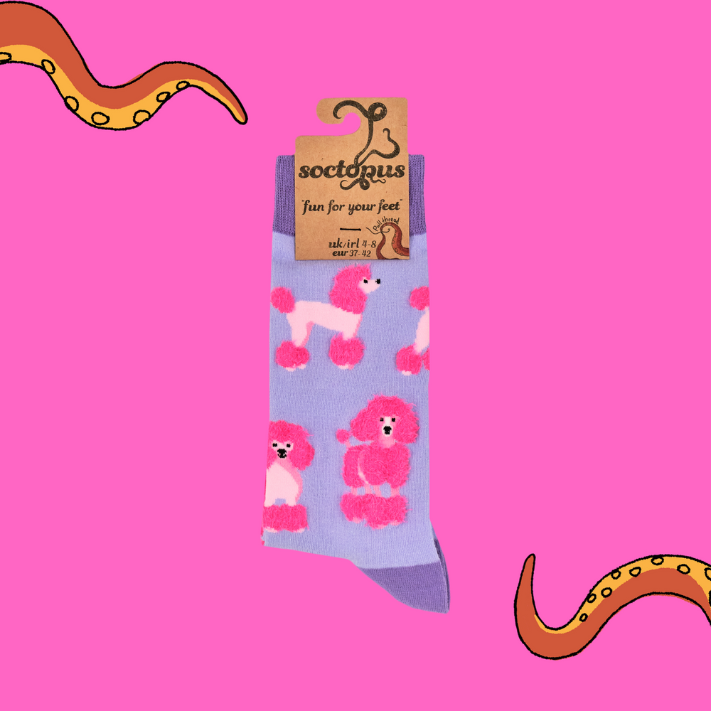 
                      
                        A pair of socks featuring fluffy poodles. Light purple legs, dark purple heel, toe and cuff. 
                      
                    