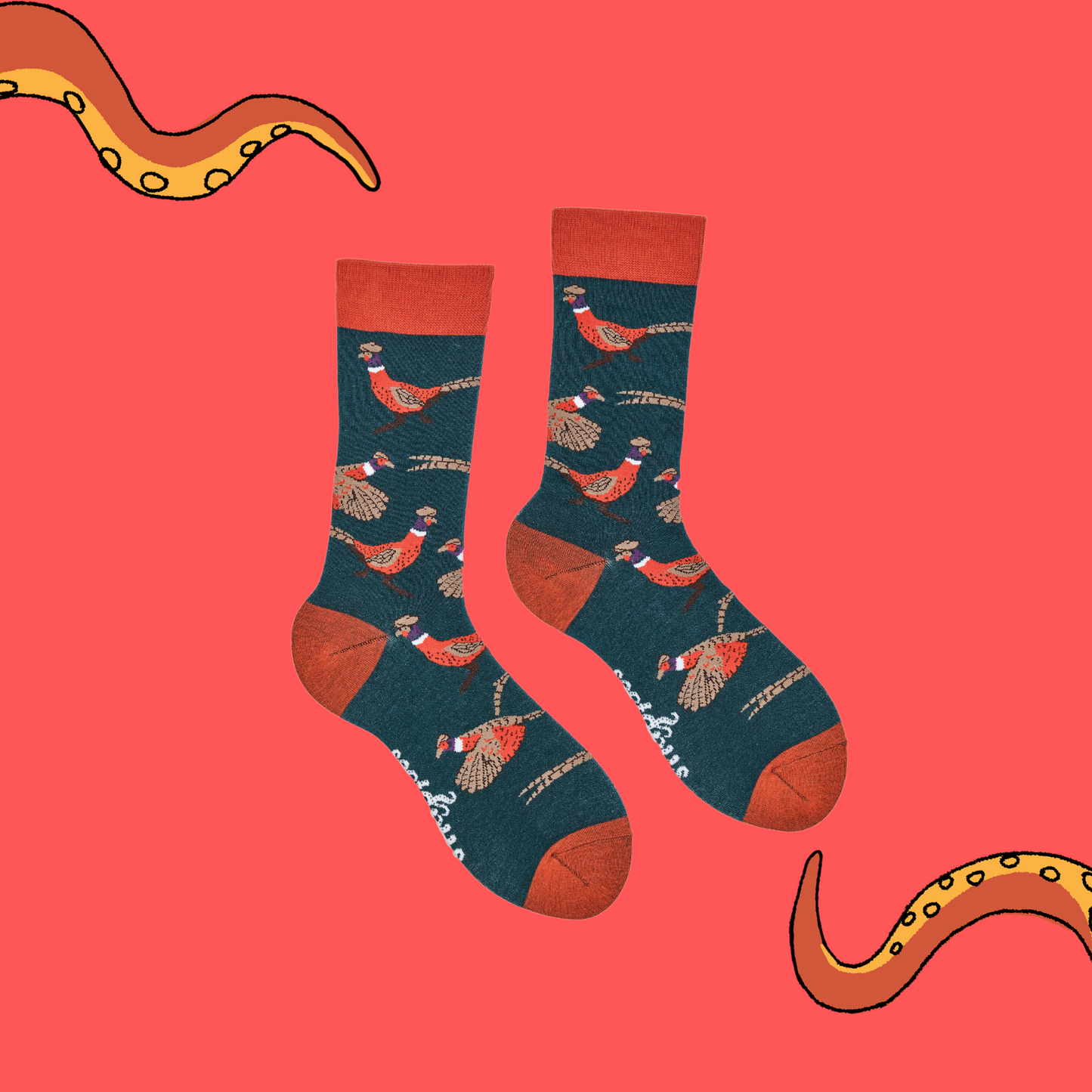 
                  
                    A pair of socks depicting wild pheasants. Green legs, red cuff, heel and toe.
                  
                