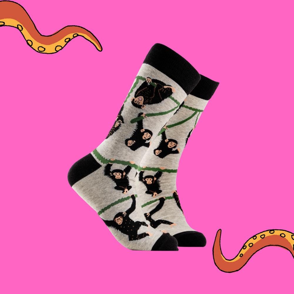 
                      
                        A pair of socks depicting playful chimpanzees. Grey legs, black cuff, heel and toe.
                      
                    