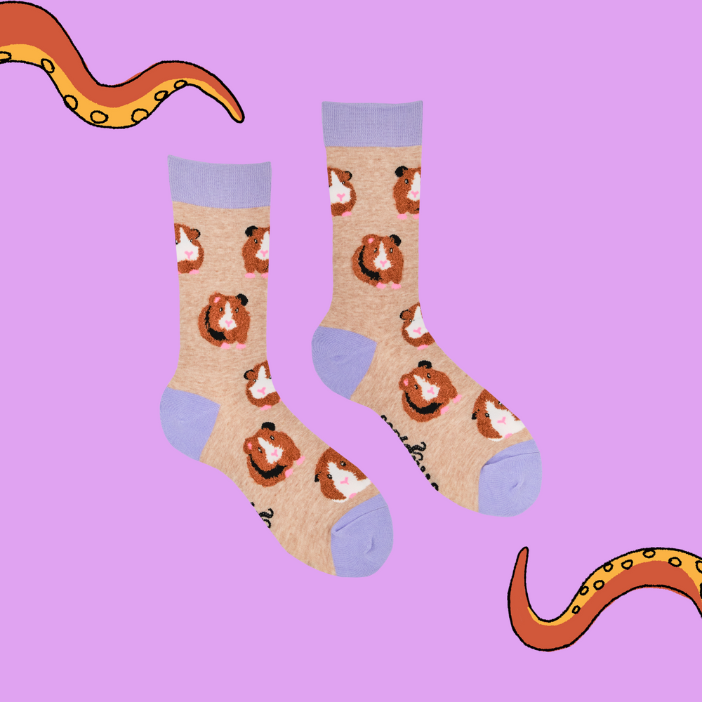 
                      
                        A pair of socks with fluffy guinea pigs. Brown legs, purple heel, toe and cuff. 
                      
                    