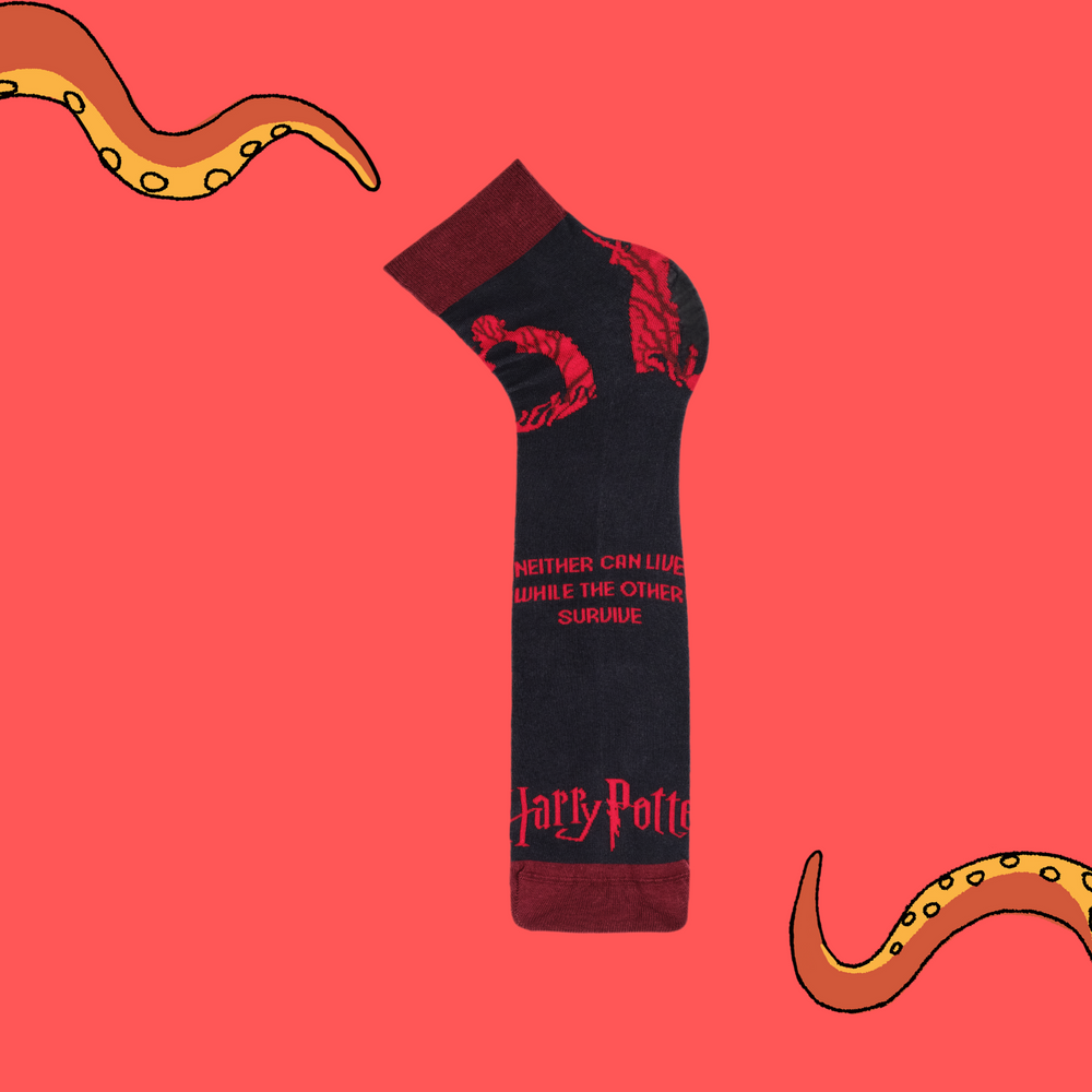 
                      
                        A pair of socks depicting scenes from Harry Potter. Grey legs, red cuff, heel and toe. 
                      
                    