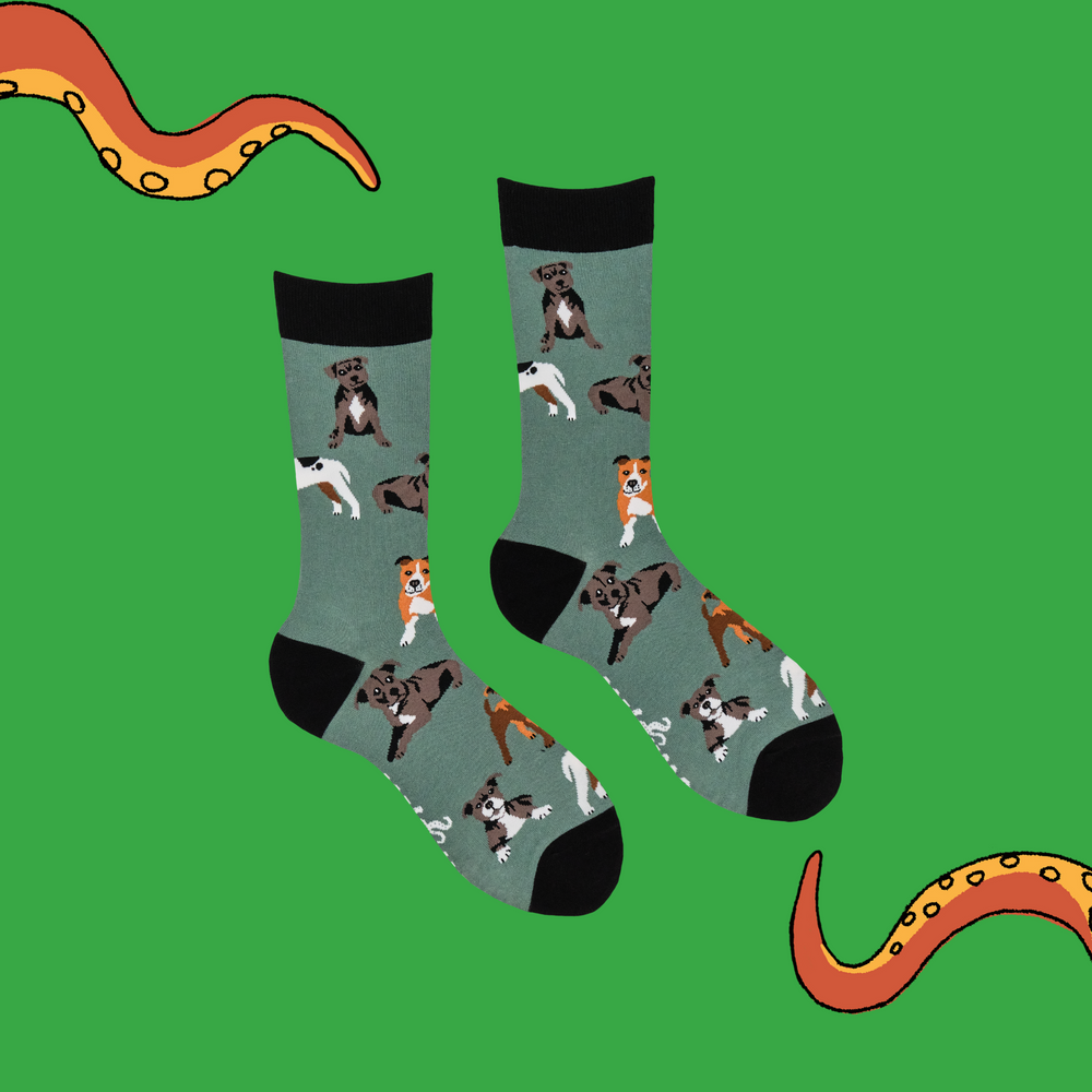 A  pair of socks with a staffie motif. Green legs, black heel, toe and cuff. 