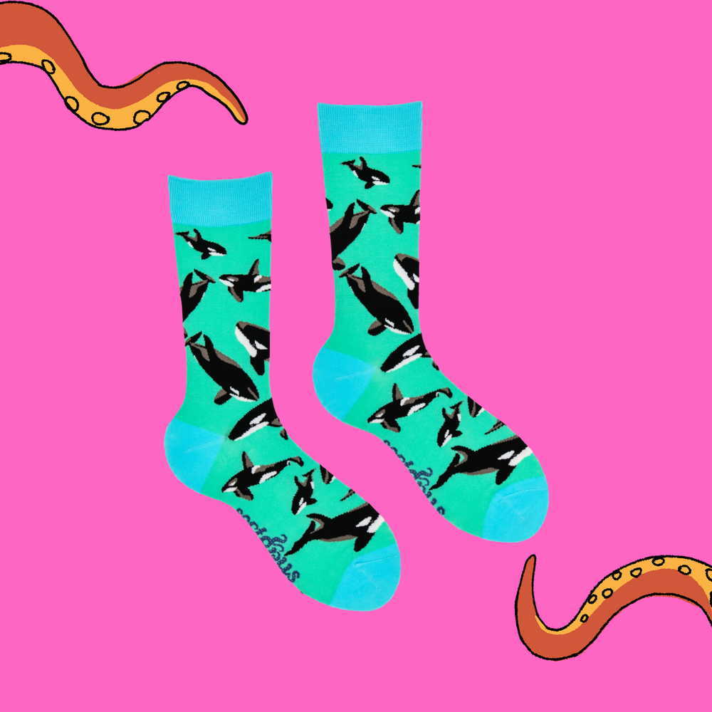 
                      
                        A pair of socks depicting a pod of Orcas. Green legs, turquoise cuff, heel and toe.
                      
                    