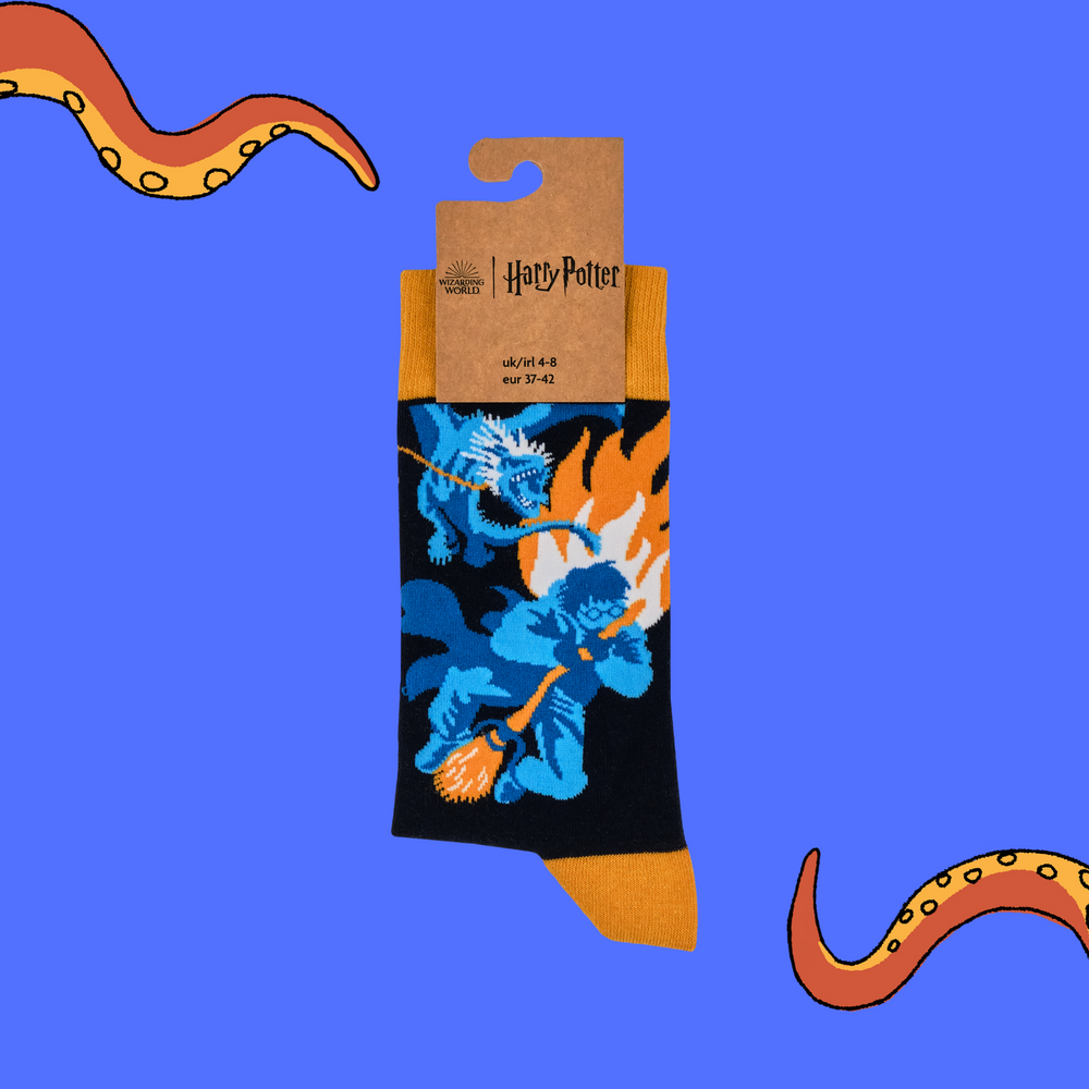 
                      
                        A pair of socks depicting harry Potter being chased by a dragon. Dark blue legs, yellow heel toe and cuff. 
                      
                    