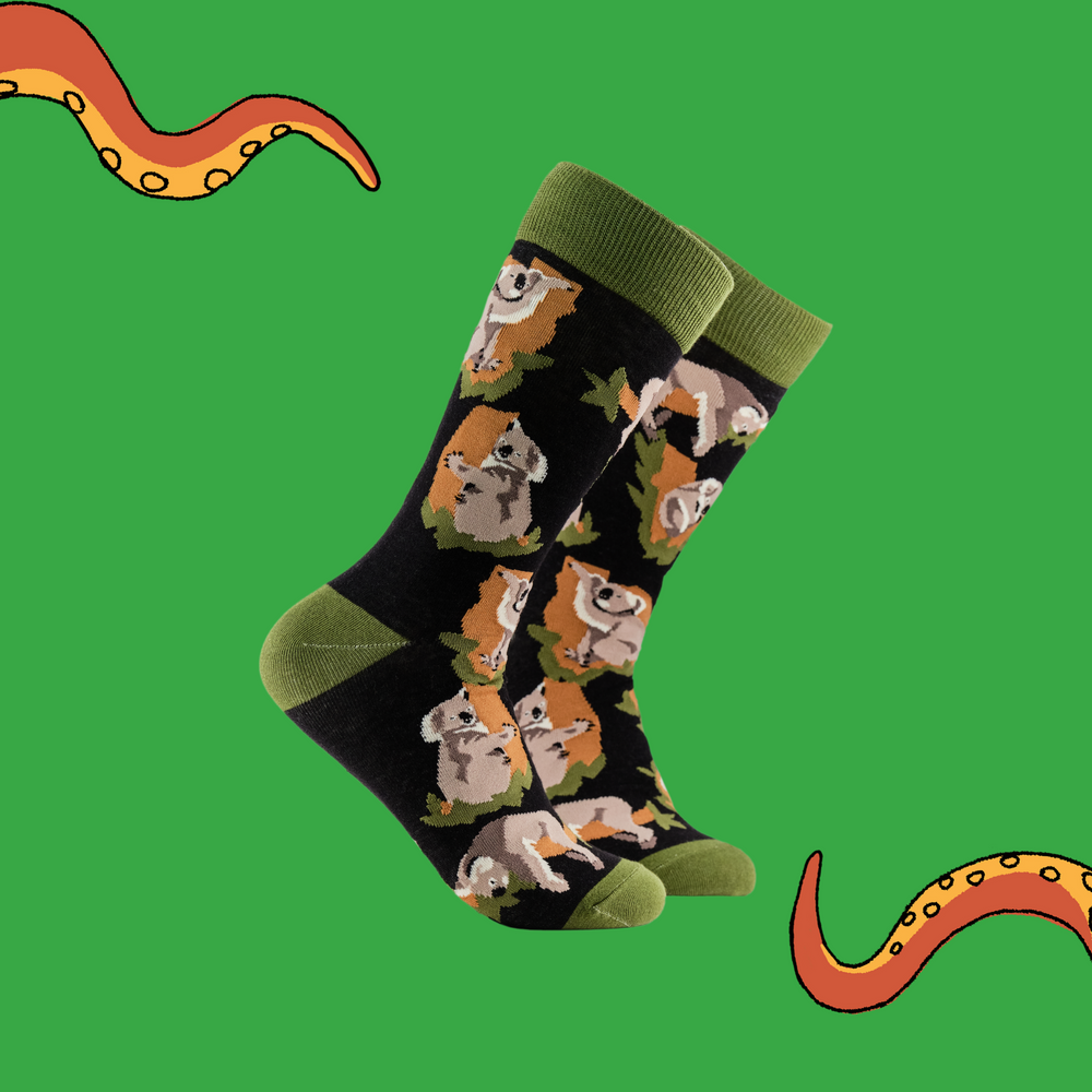 
                      
                        A pair of socks depicting koala bears. Black legs, green cuff, heel and toe.
                      
                    