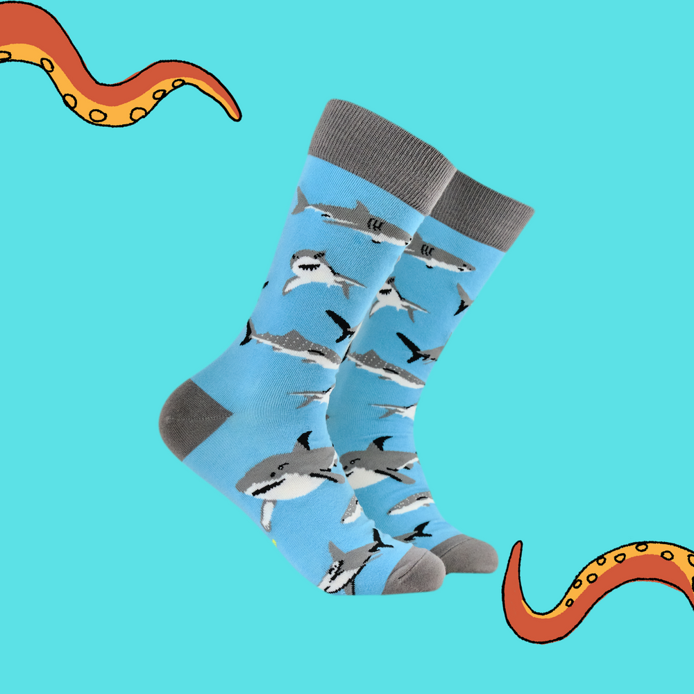 
                      
                        A pair of socks featuring great white sharks. Light blue legs, grey heel, toe and cuff. 
                      
                    