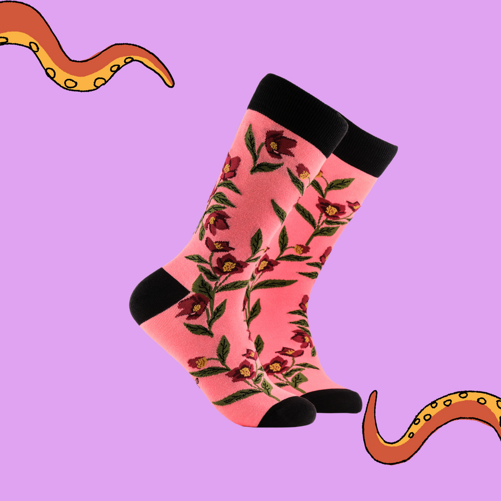 
                  
                    A pair of socks depicting hellebores. Pink legs, black cuff, heel and toe.
                  
                