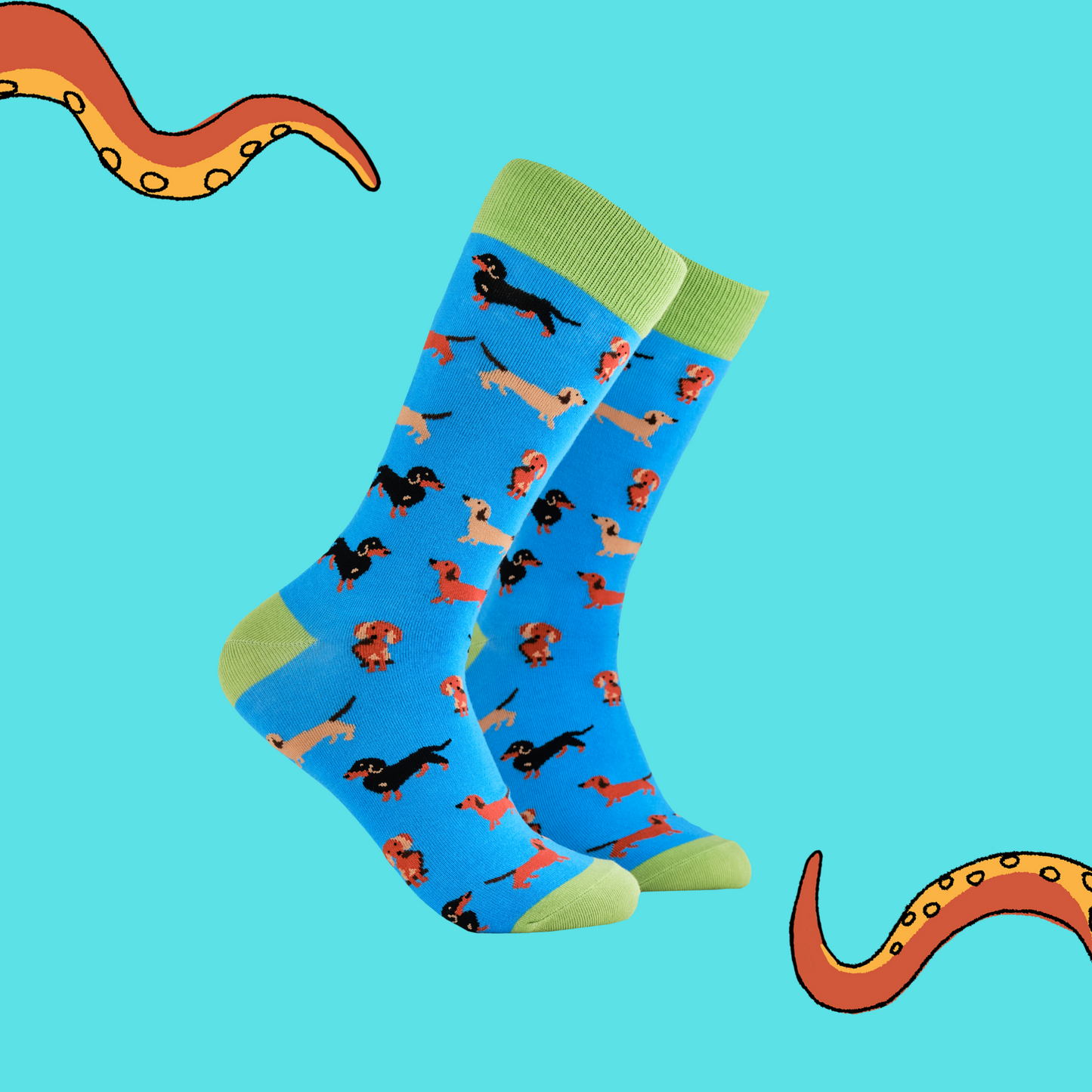 A pair of socks depicting sausage dogs. Blue legs, green cuff, heel and toe.
