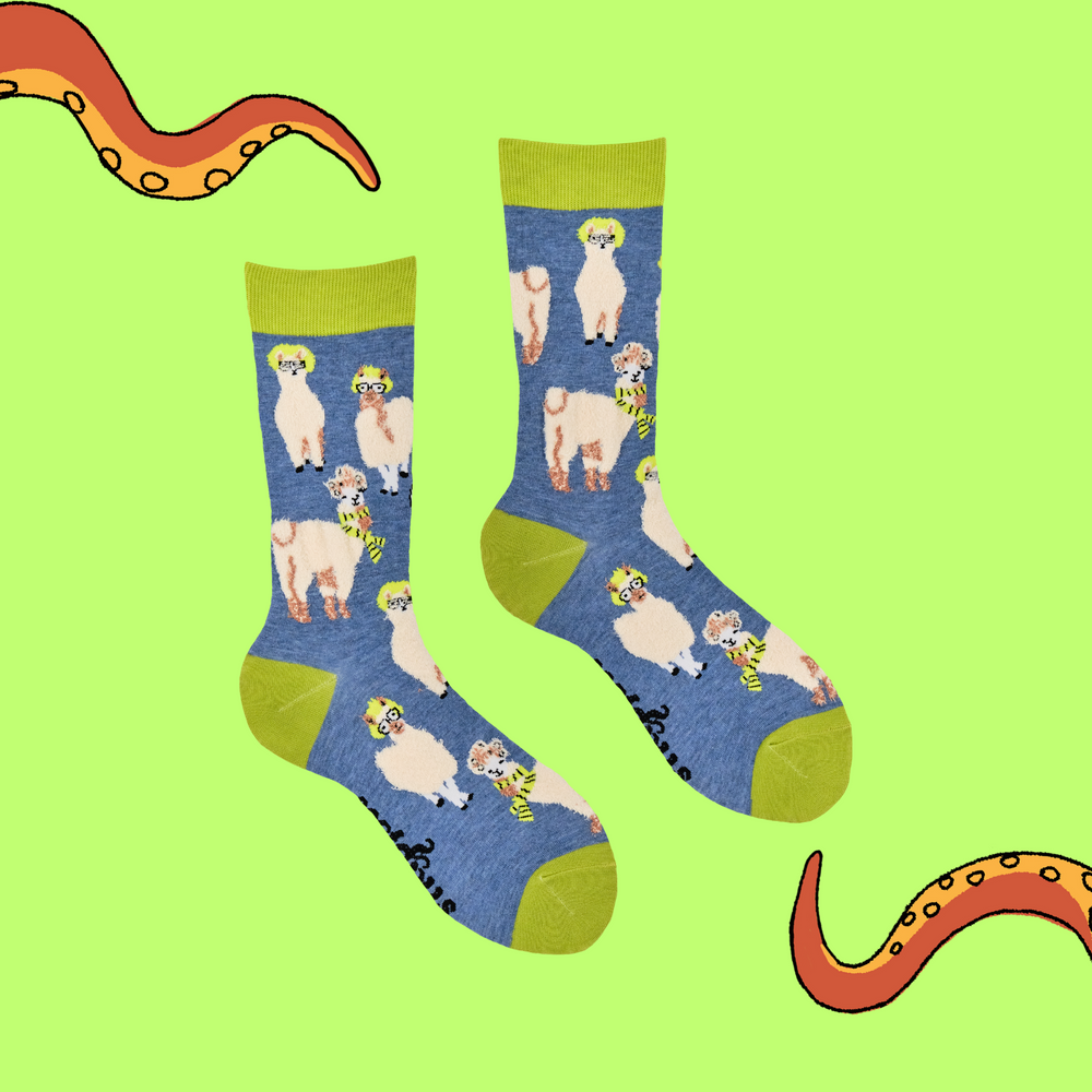 
                      
                        A pair of socks depicting Llamas causing drama. Blue legs, yellow heel, cuff and toe. 
                      
                    