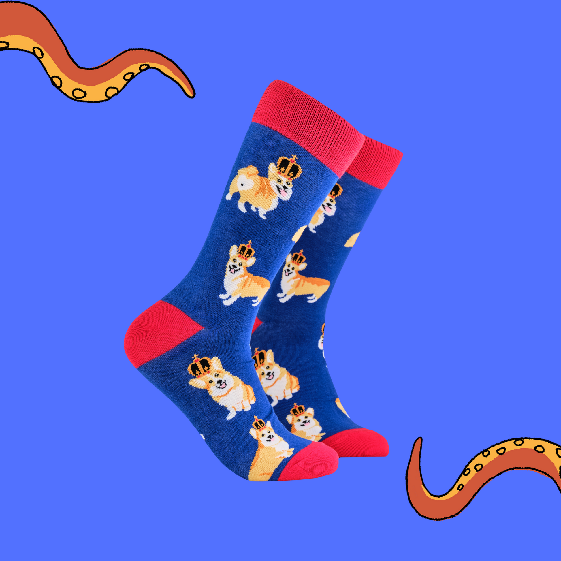 A pair of socks depicting corgis wearing crowns. Blue legs, red cuff, heel and toe.