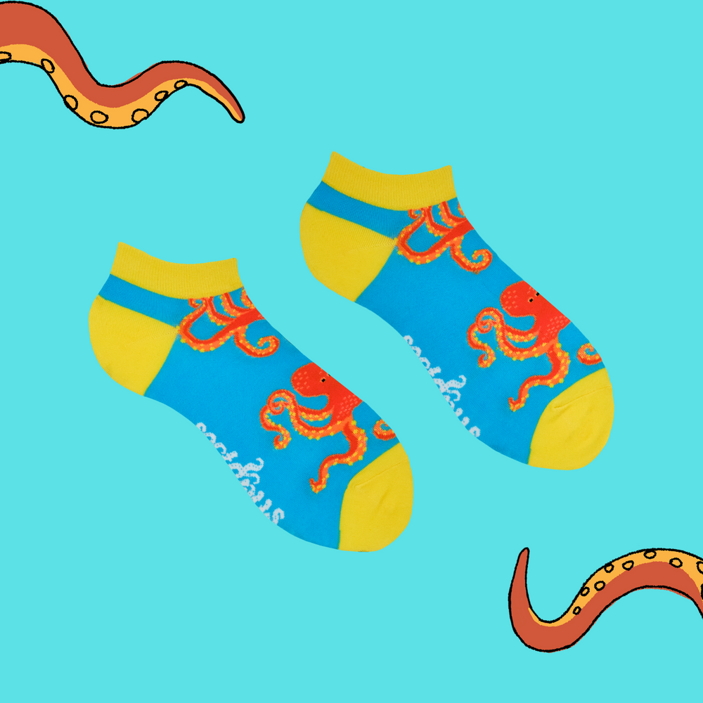 
                      
                        Octopus Socks - Soctopus Trainer Socks
                      
                    