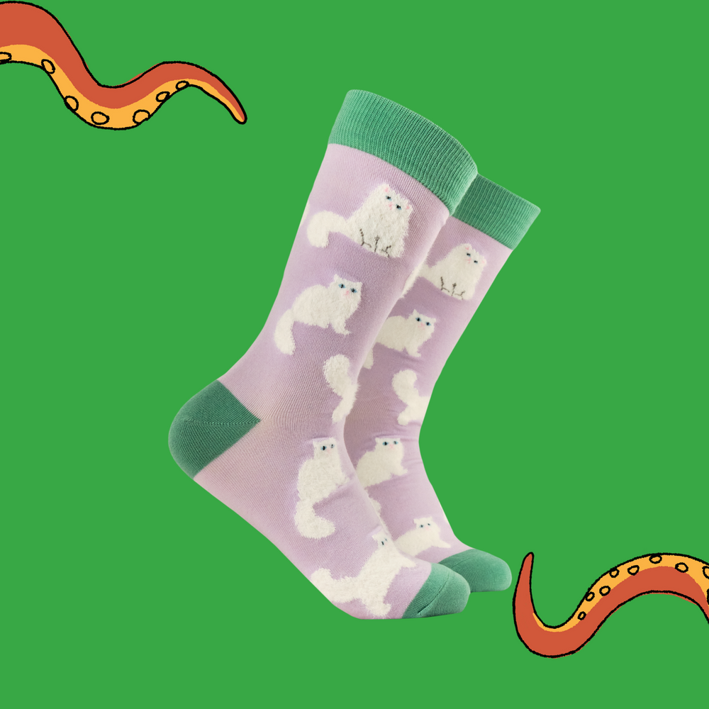 A pair of socks featuring fluffy white cats. Light pink legs, green heel, toe and cuff. 