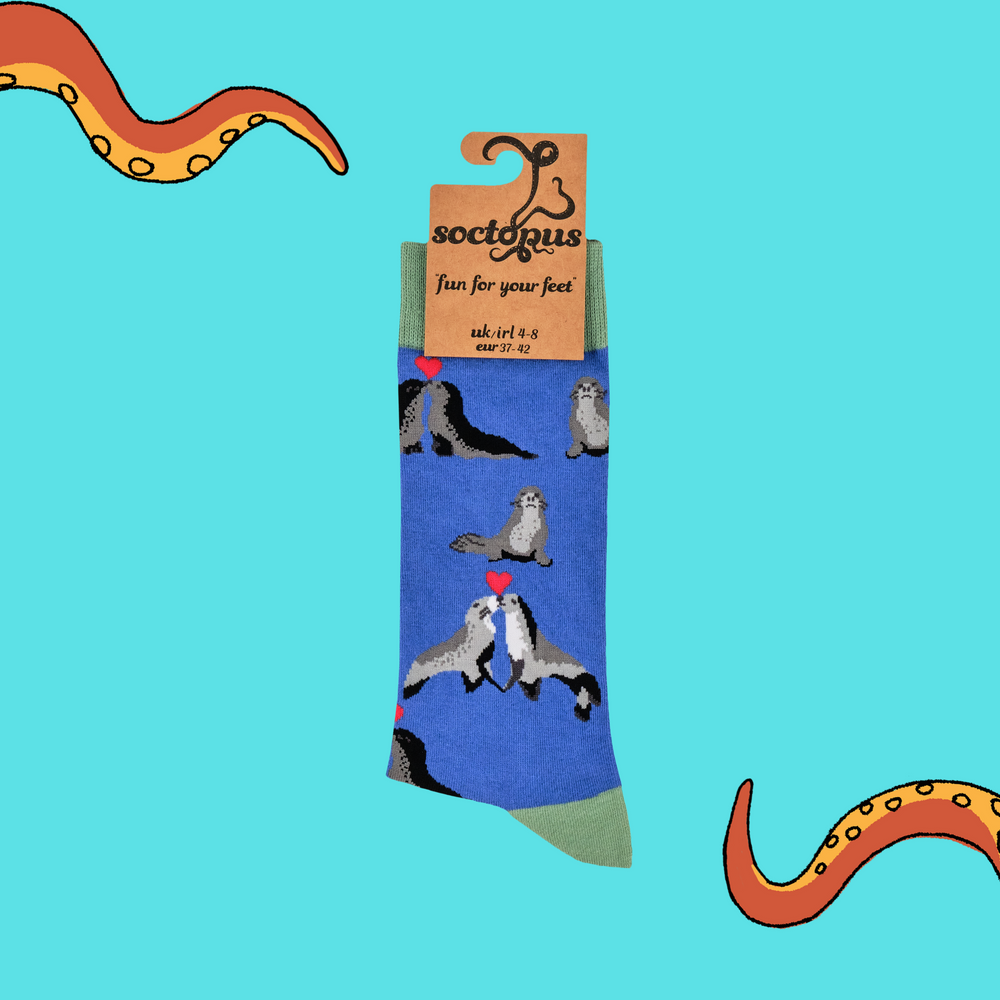 
                      
                        A pair of socks depicting two seals in love. Blue legs, green heel, toe and cuff. 
                      
                    