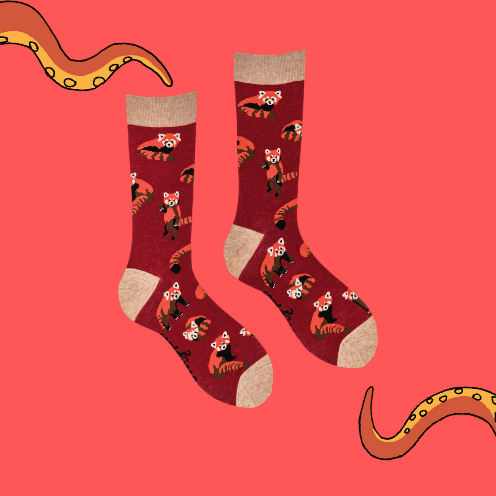 
                      
                        A pair of socks depicting cute little red pandas. Red legs, brown heel, toe and cuff. 
                      
                    