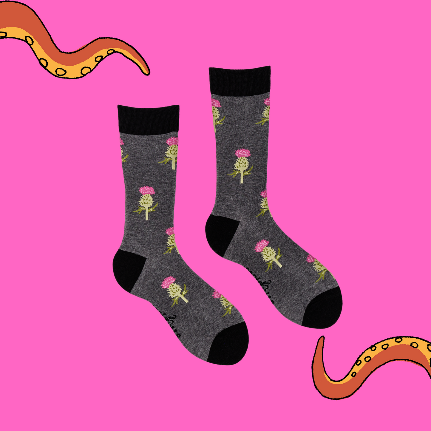 
                  
                    A pair of socks depicting thistles. Grey legs, black cuff, heel and toe.
                  
                