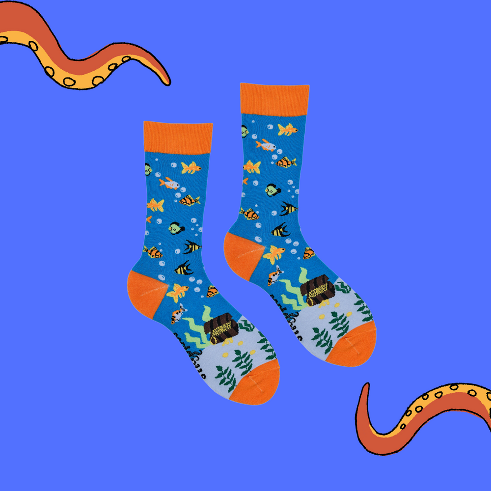 
                      
                        A pair of socks depicting fish under the sea and some long lost treasure. Blue legs, orange cuff, heel and toe.
                      
                    