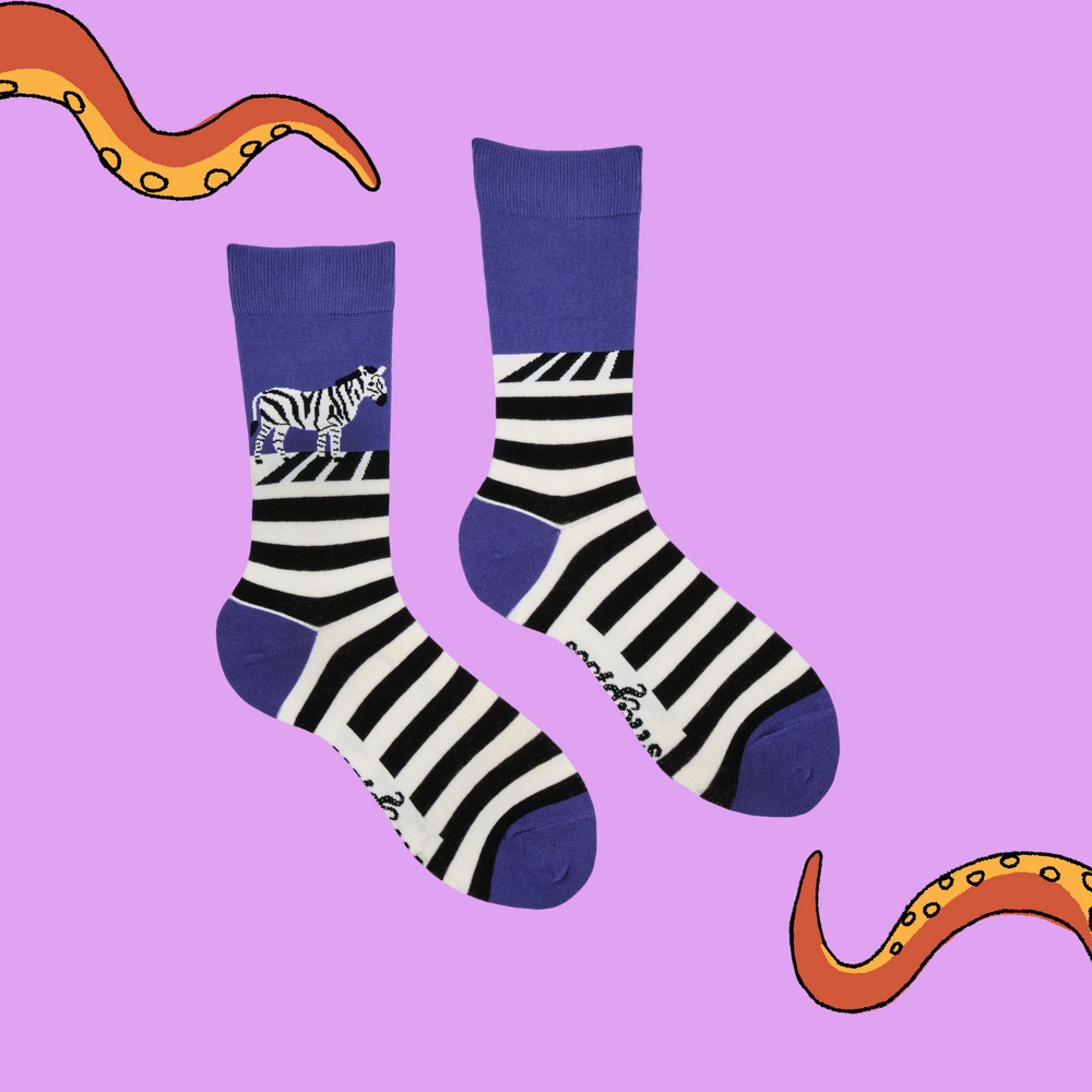 
                      
                        A pair of socks featuring a zebra on a zebra crossing. Striped legs, purple heel, toe and cuff. 
                      
                    