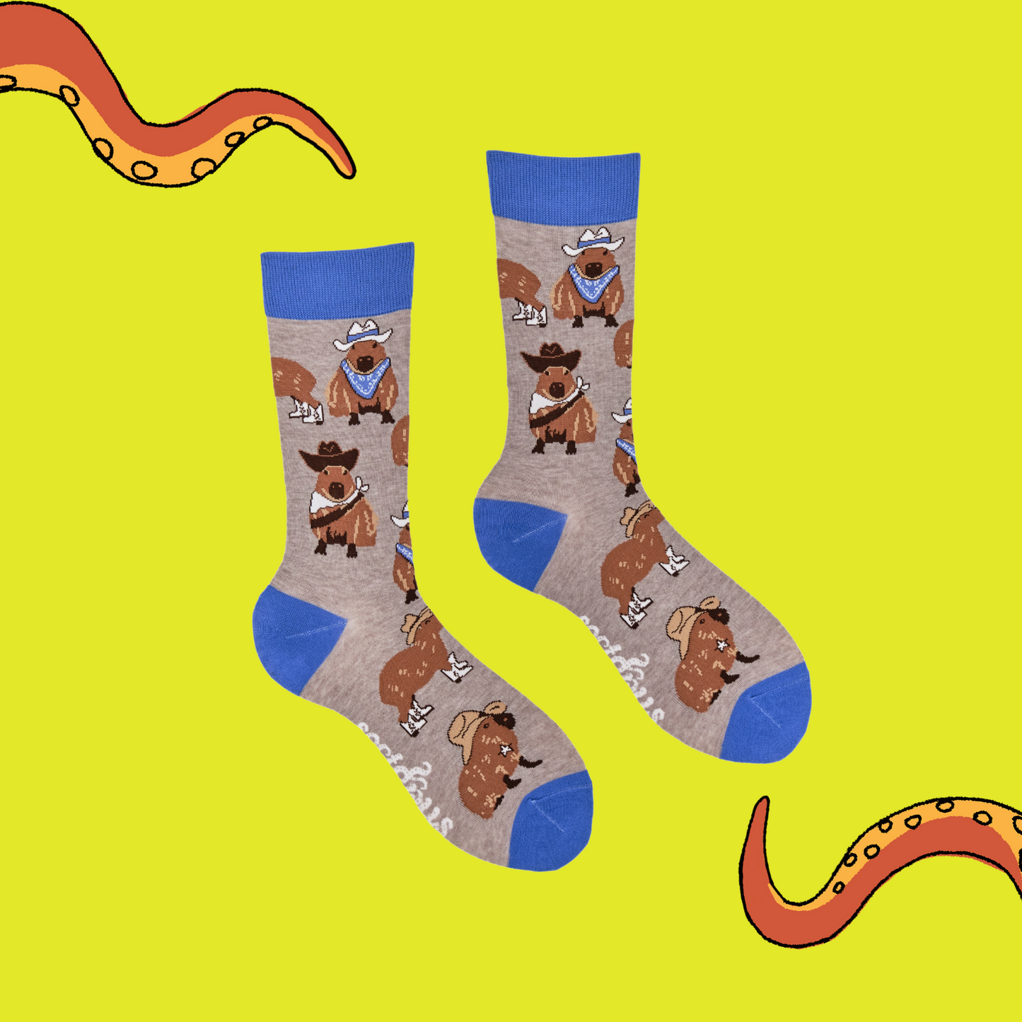 
                  
                    A pair of socks depicting Capybaras wearing cowboy hats. Grey legs, blue cuff, heel and toe.
                  
                