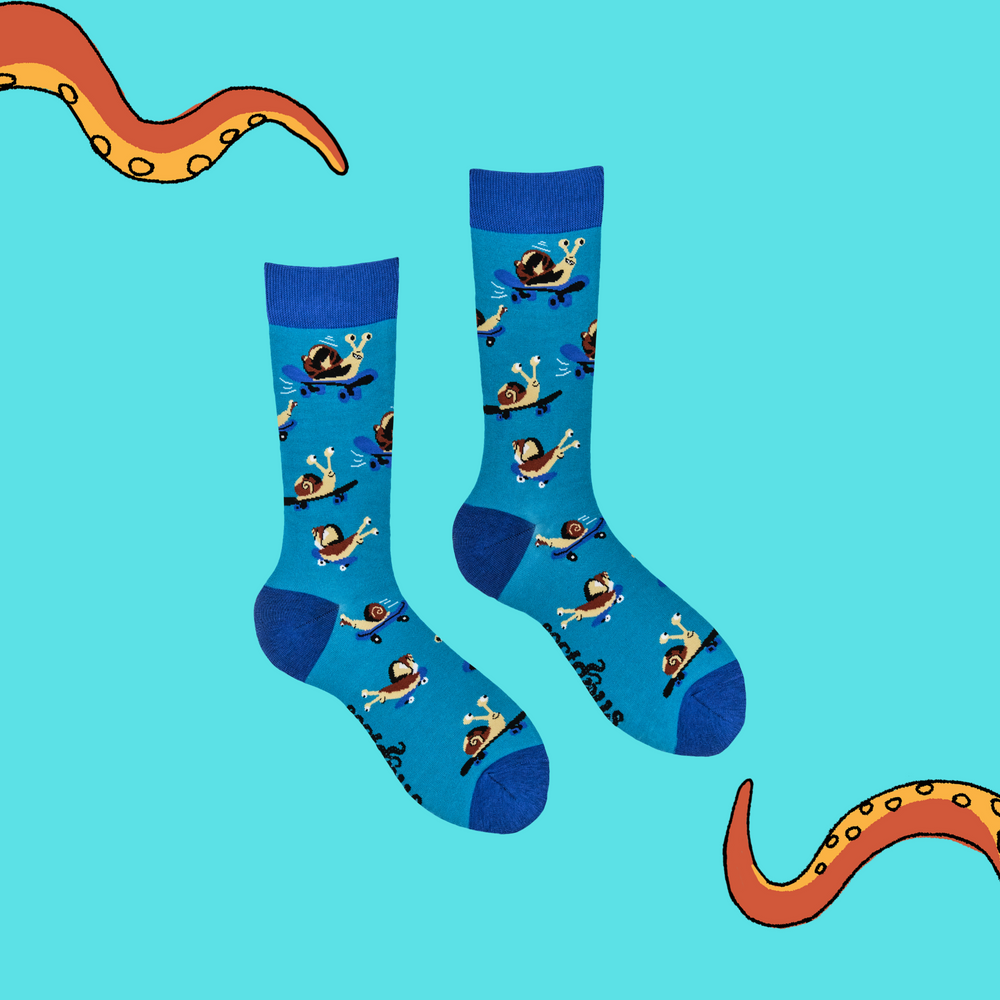 
                      
                        A pair of socks depicting a snail on a skateboard. Blue legs, light blue heel, toe and cuff. 
                      
                    