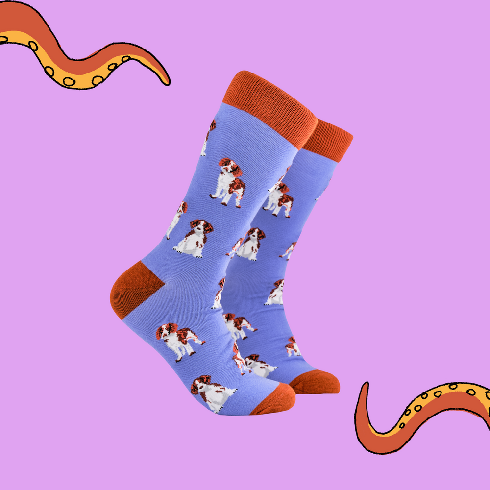 A pair of socks depicting spaniels. Purple legs, red cuff, heel and toe.