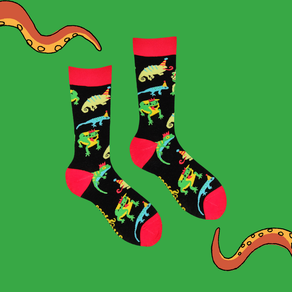 
                      
                        A pair of socks depicting lizards in party hats. Black legs, red cuffs, heels and toe. 
                      
                    