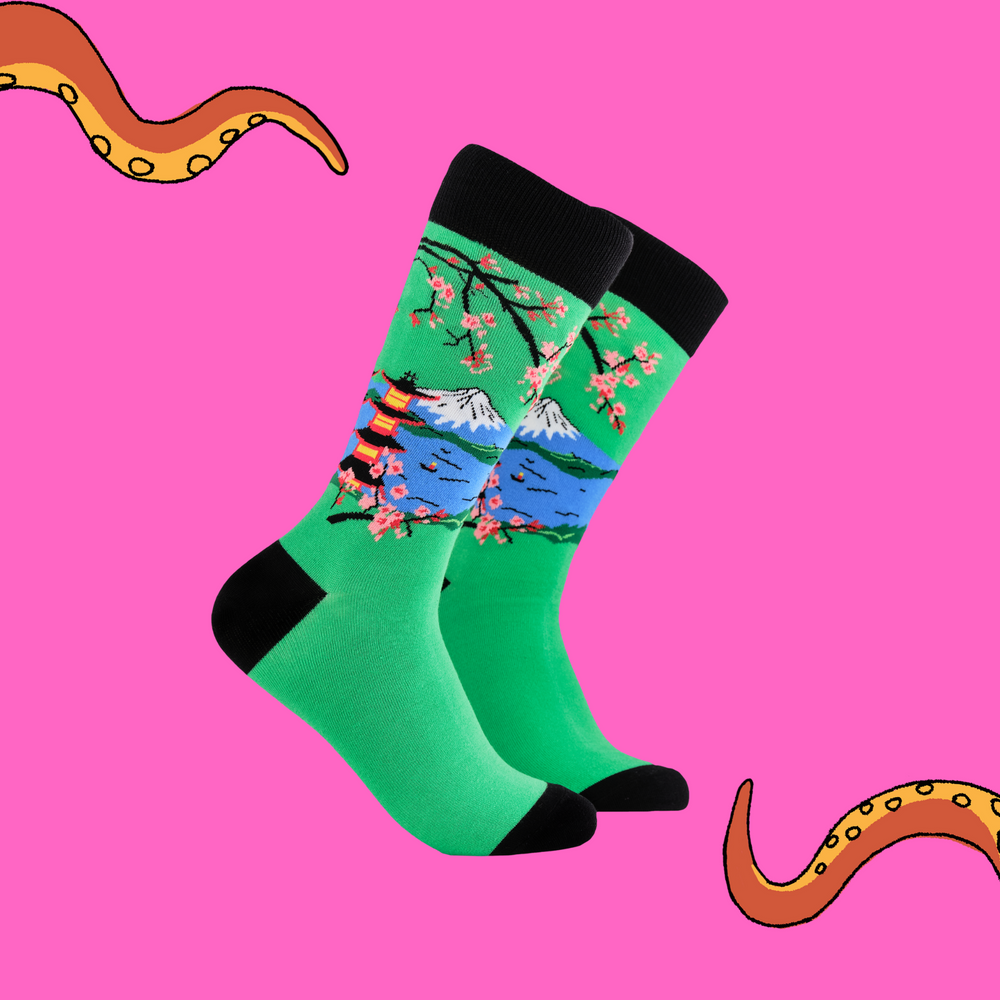 A pair of socks depicting mount fuji and cherry blossom. Green legs, black cuff, heel and toe.