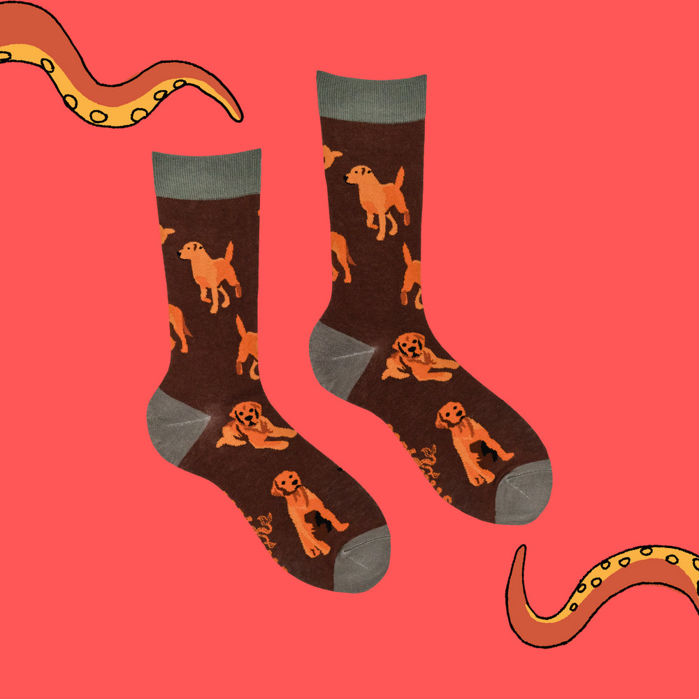 
                      
                        A pair of socks with a labrador motif. Brown legs, heel, toe and cuff. 
                      
                    