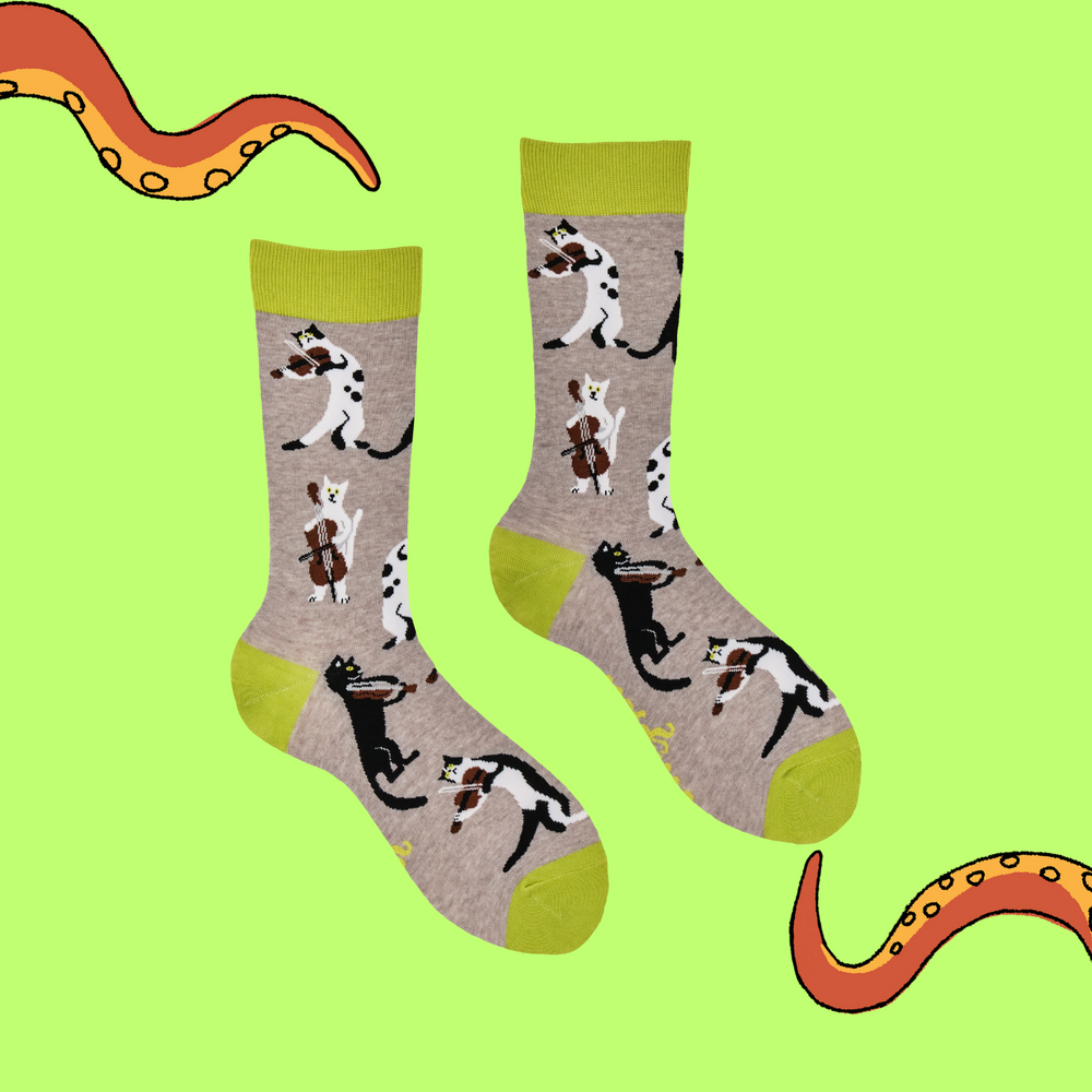 
                      
                        A pair of socks depicting cats playing string instruments. Grey legs, green heel toe and cuff. 
                      
                    