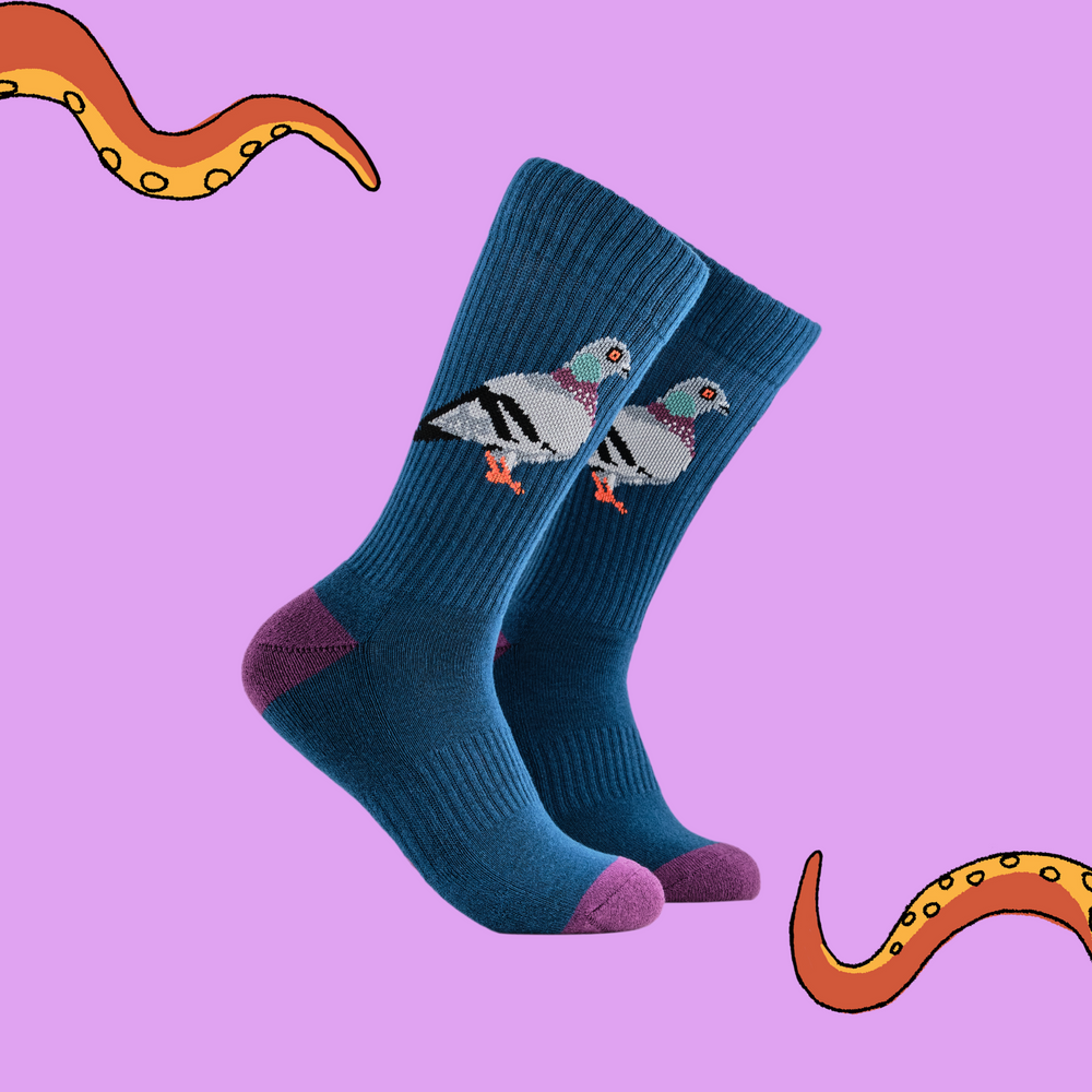 
                  
                    A pair of socks depicting pigeons. Deep blue legs, blue cuff, purple heel and toe.
                  
                