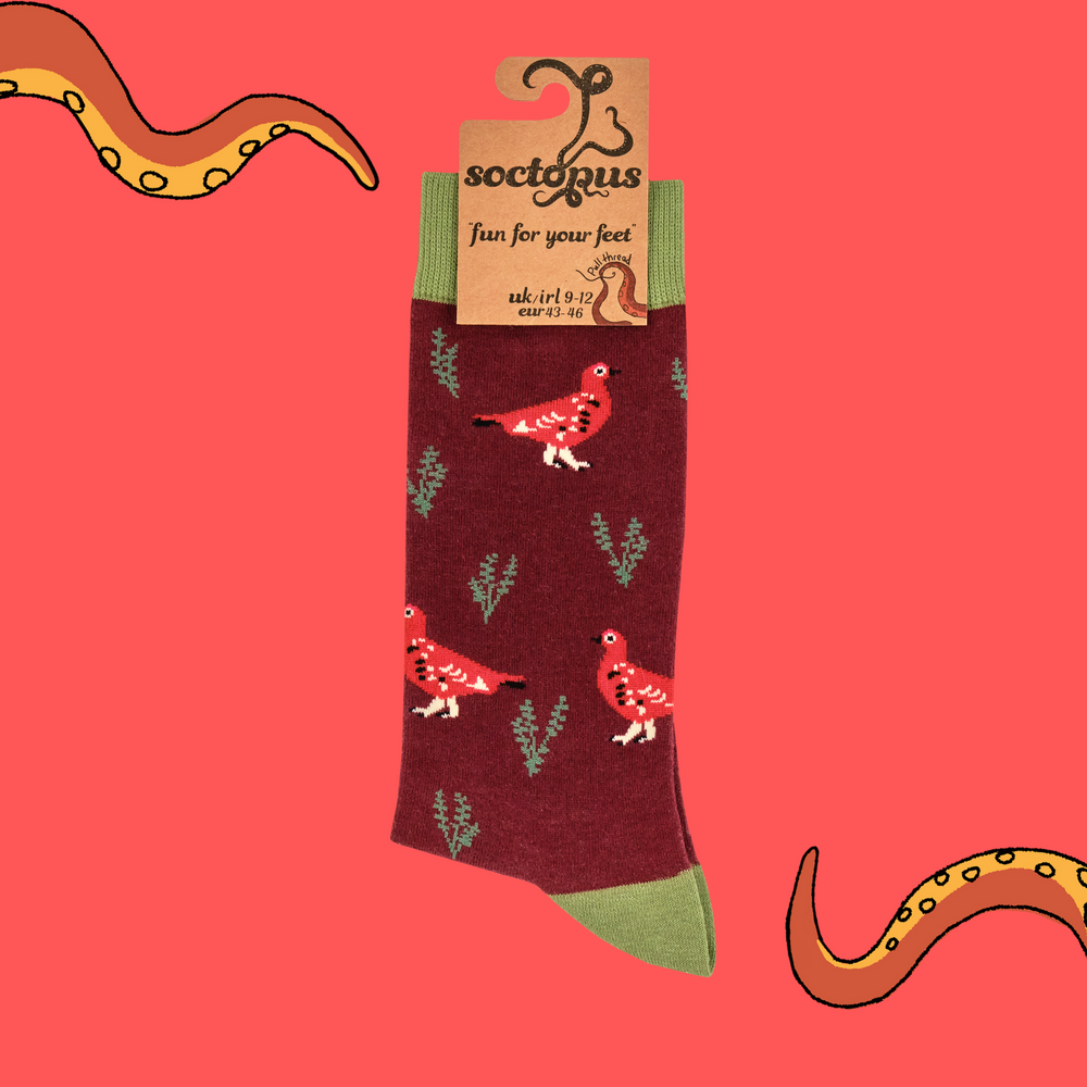 
                      
                        A pair of socks featuring a grouse motif. Red legs, green heel, toe and cuff. 
                      
                    