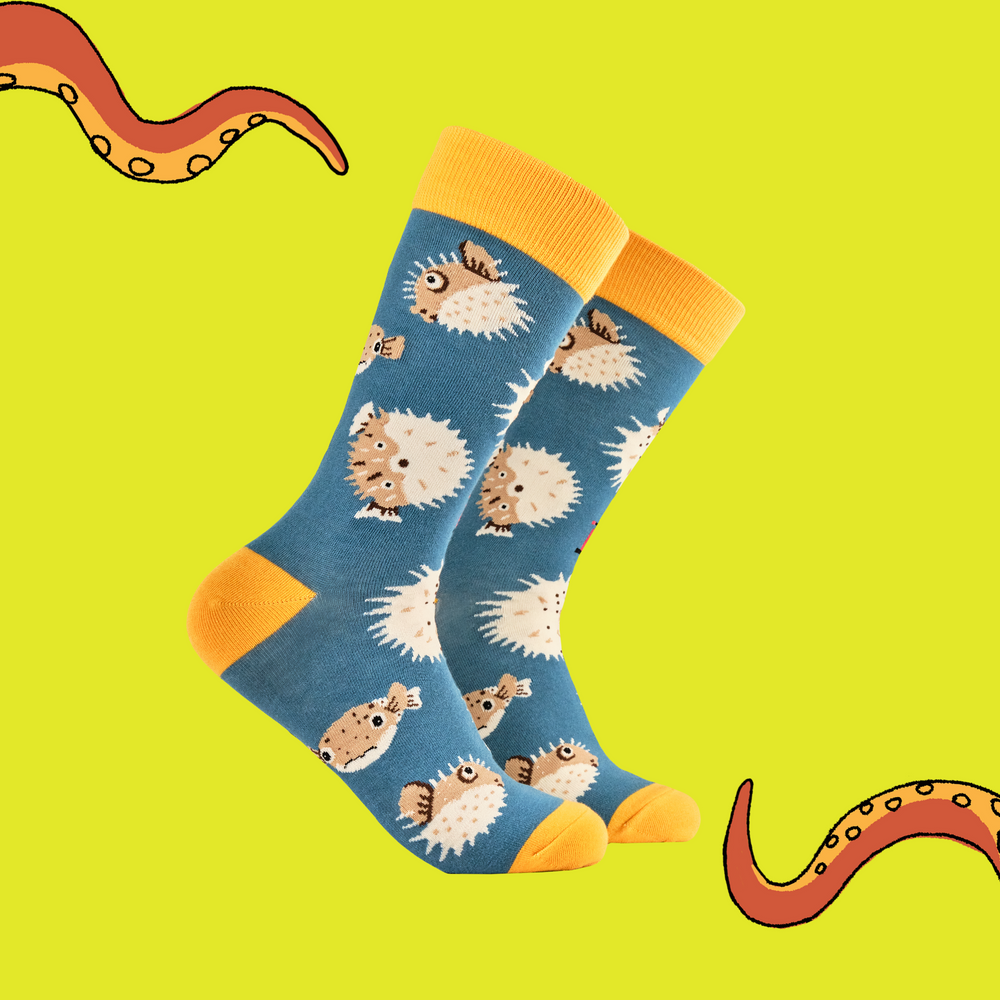 A pair of socks featuring a puffer fish motif. Teal legs, yellow heel, toe and cuff. 