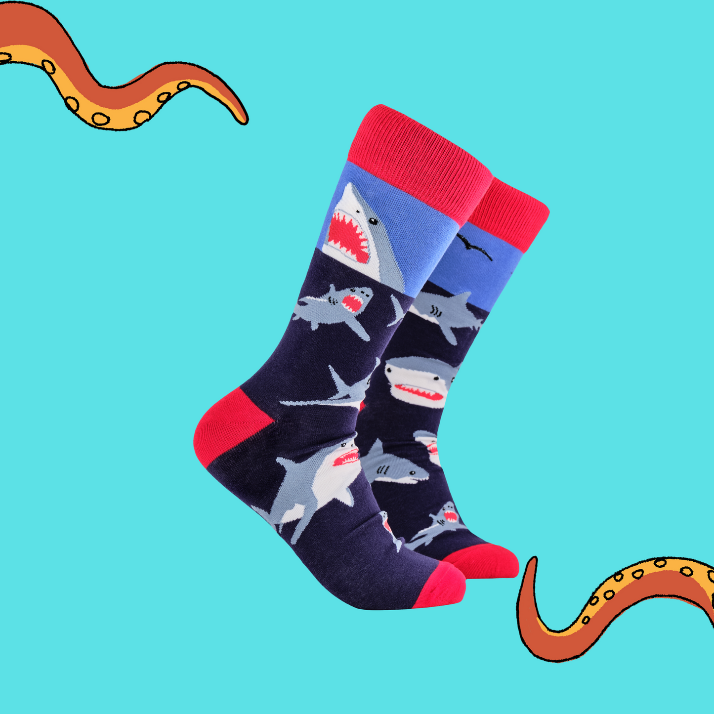 A pair of socks depicting great white sharks. Blue legs, red cuff, heel and toe.